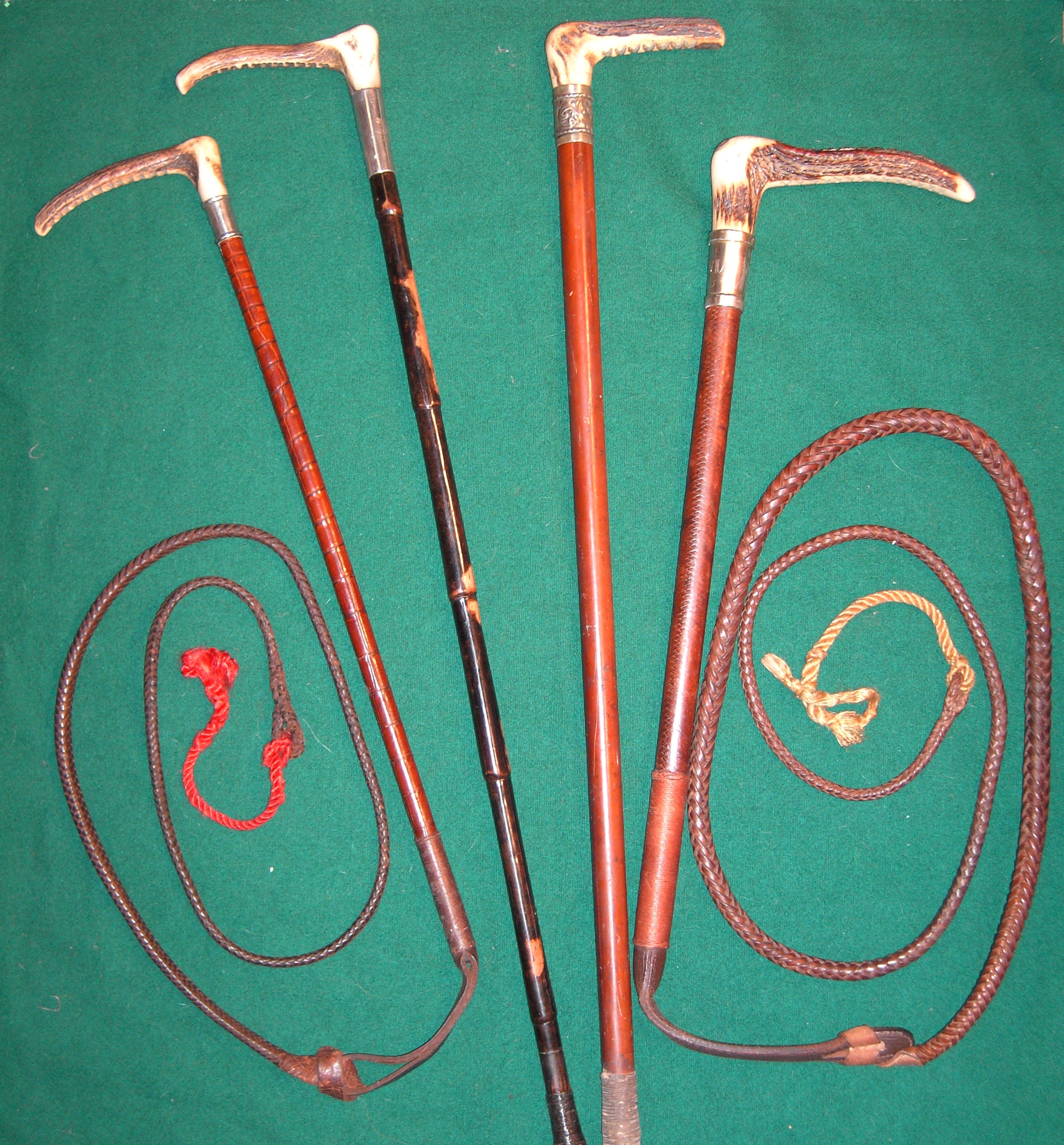 Ladies Hunting Whips Sporting Collection