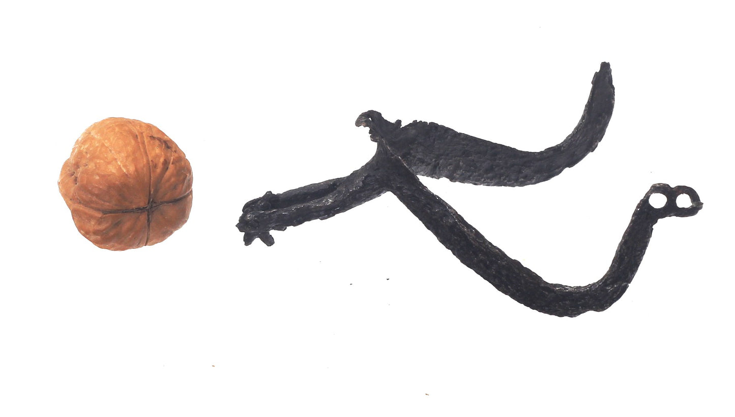 An Excavated 14th / 15th Century Medieval Rowel Spur