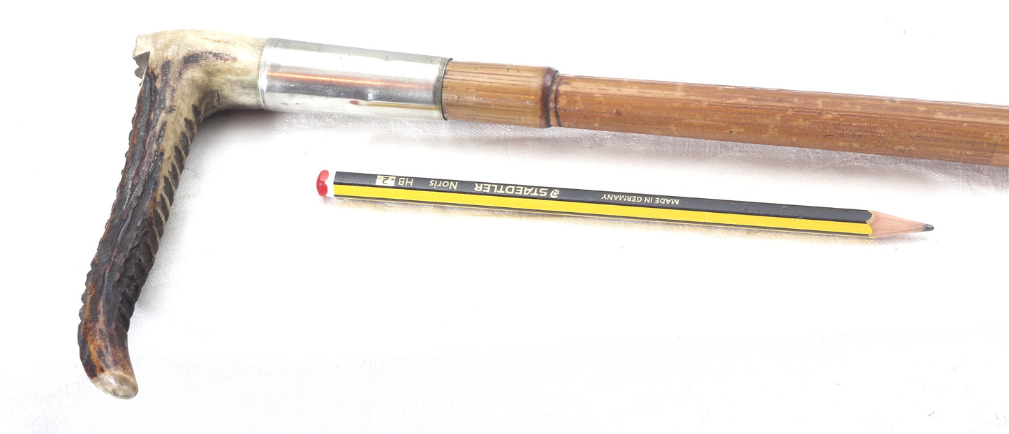 Vintage Cane Hunting Whip or Crop