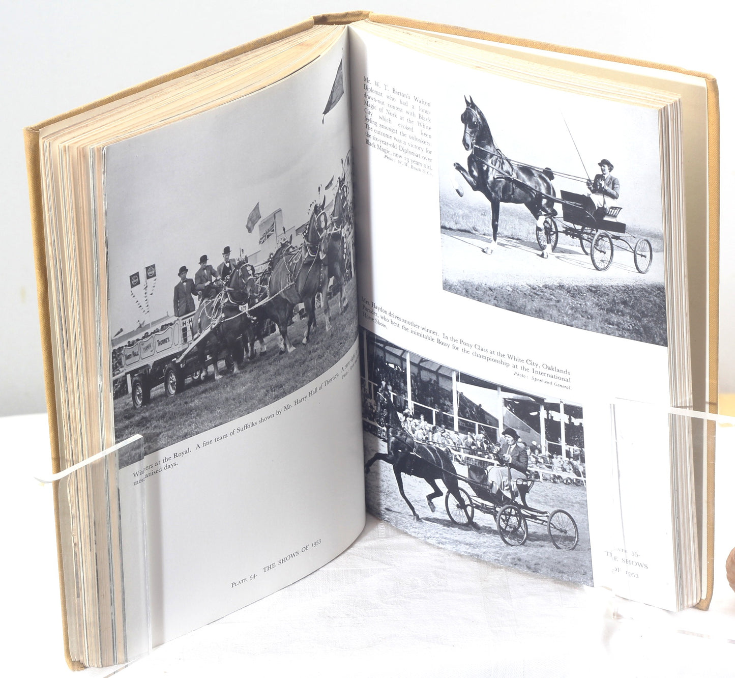 The Horseman's Year 1953-54, Edited by Lt.Col. W.E.Lyon