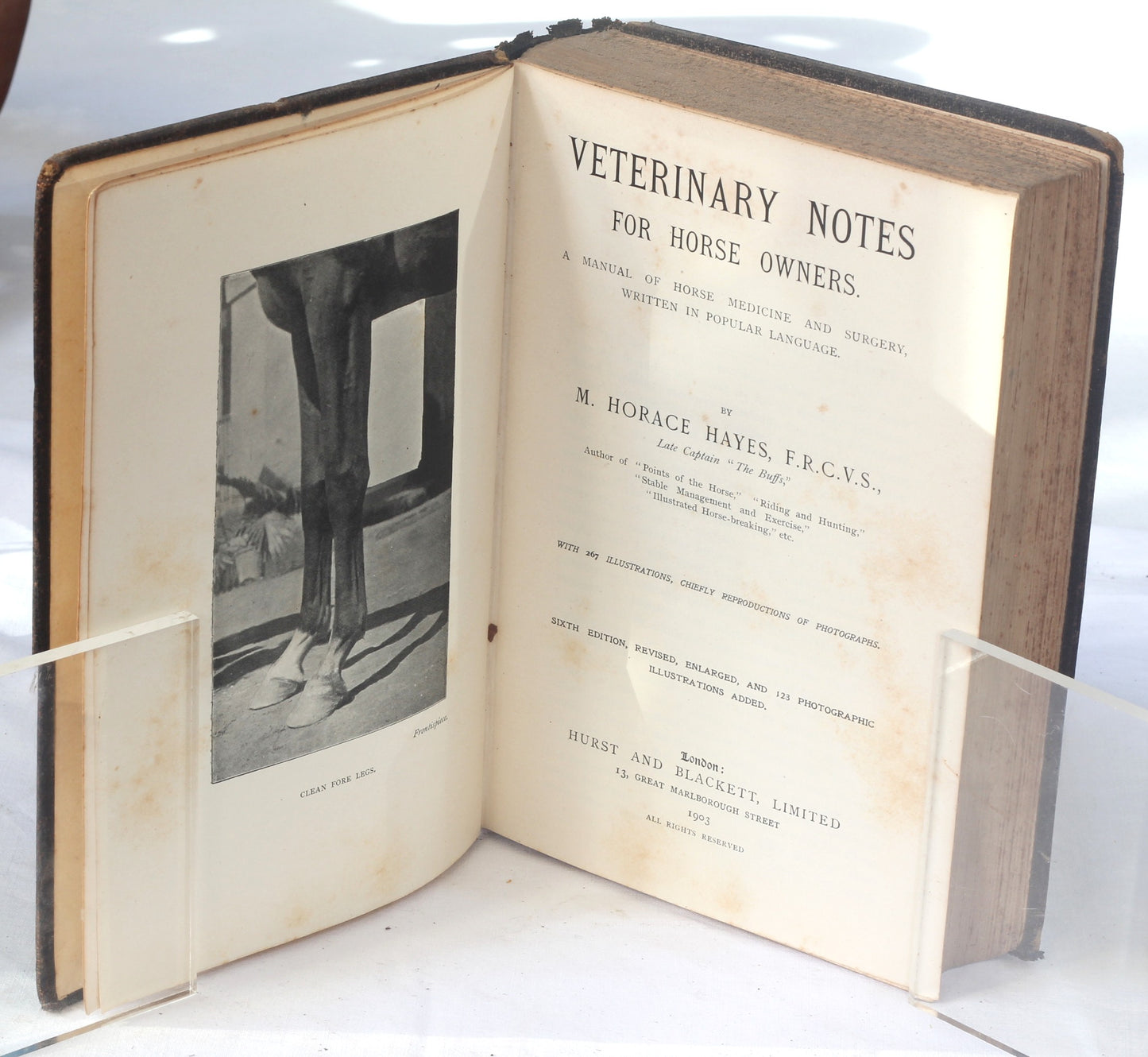 Veterinary Notes for Horse Owners by Captain M.H.Hayes , 6th Ed. 1903