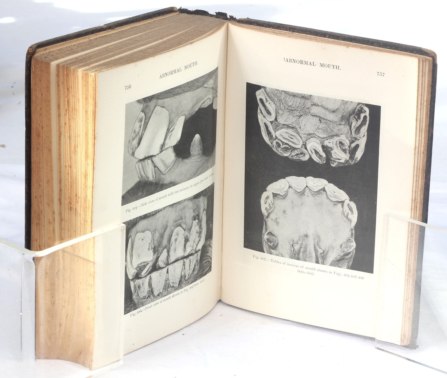 Veterinary Notes for Horse Owners by Captain M.H.Hayes , 6th Ed. 1903