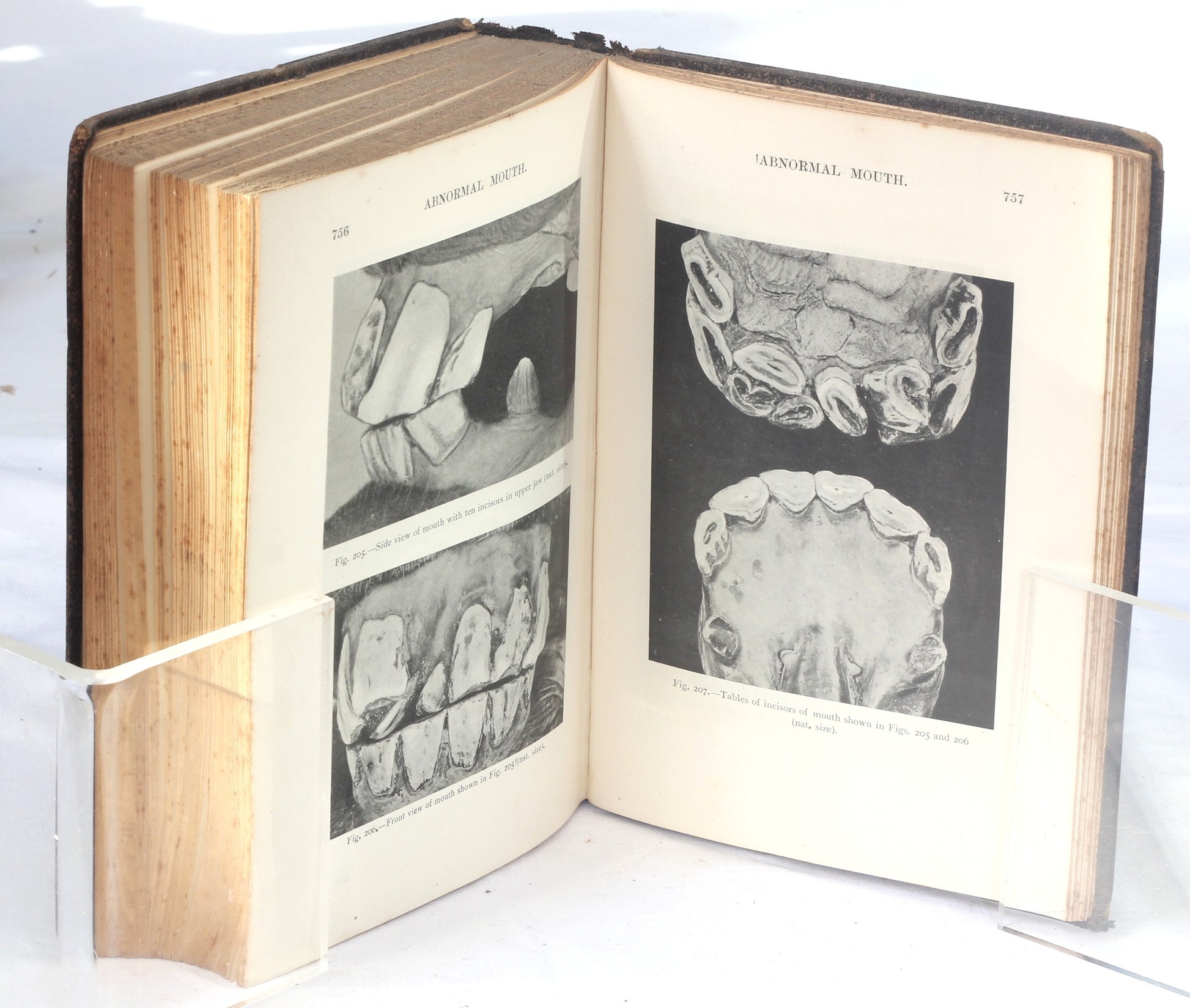 Veterinary Notes for Horse Owners by Captain M.H.Hayes , 6th Ed. 1903