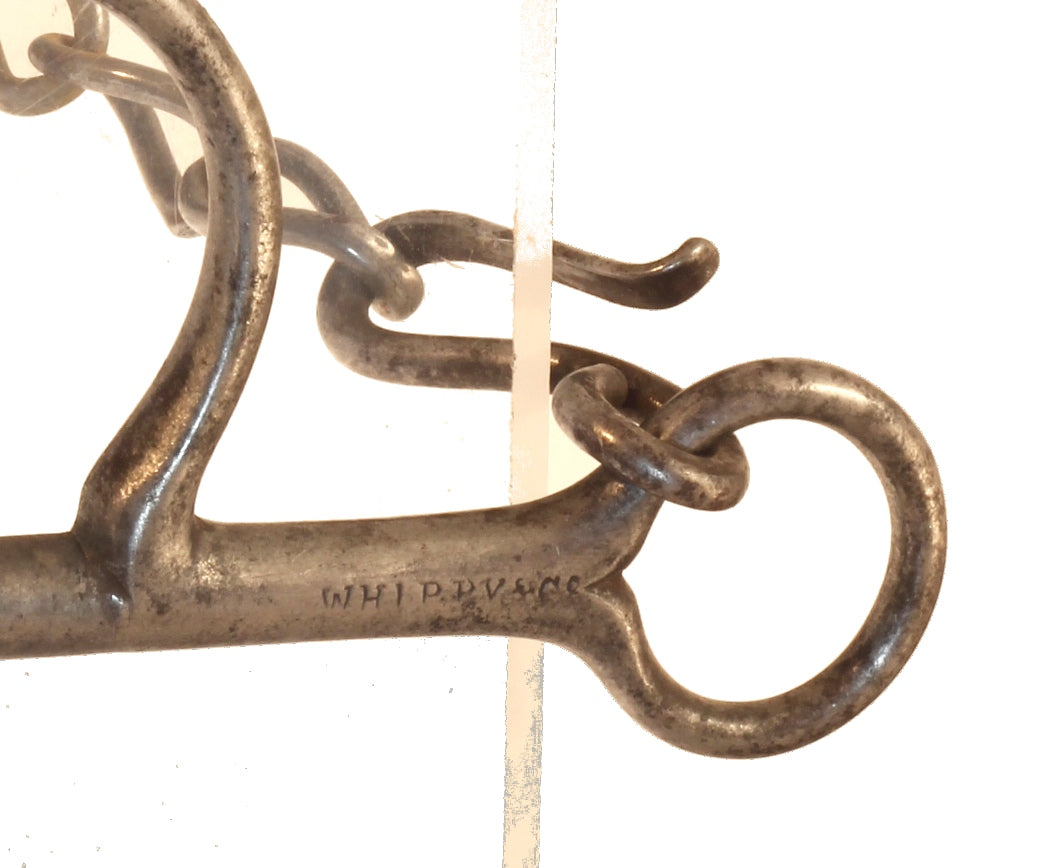 A Steel Reversible Pelham by Whippy