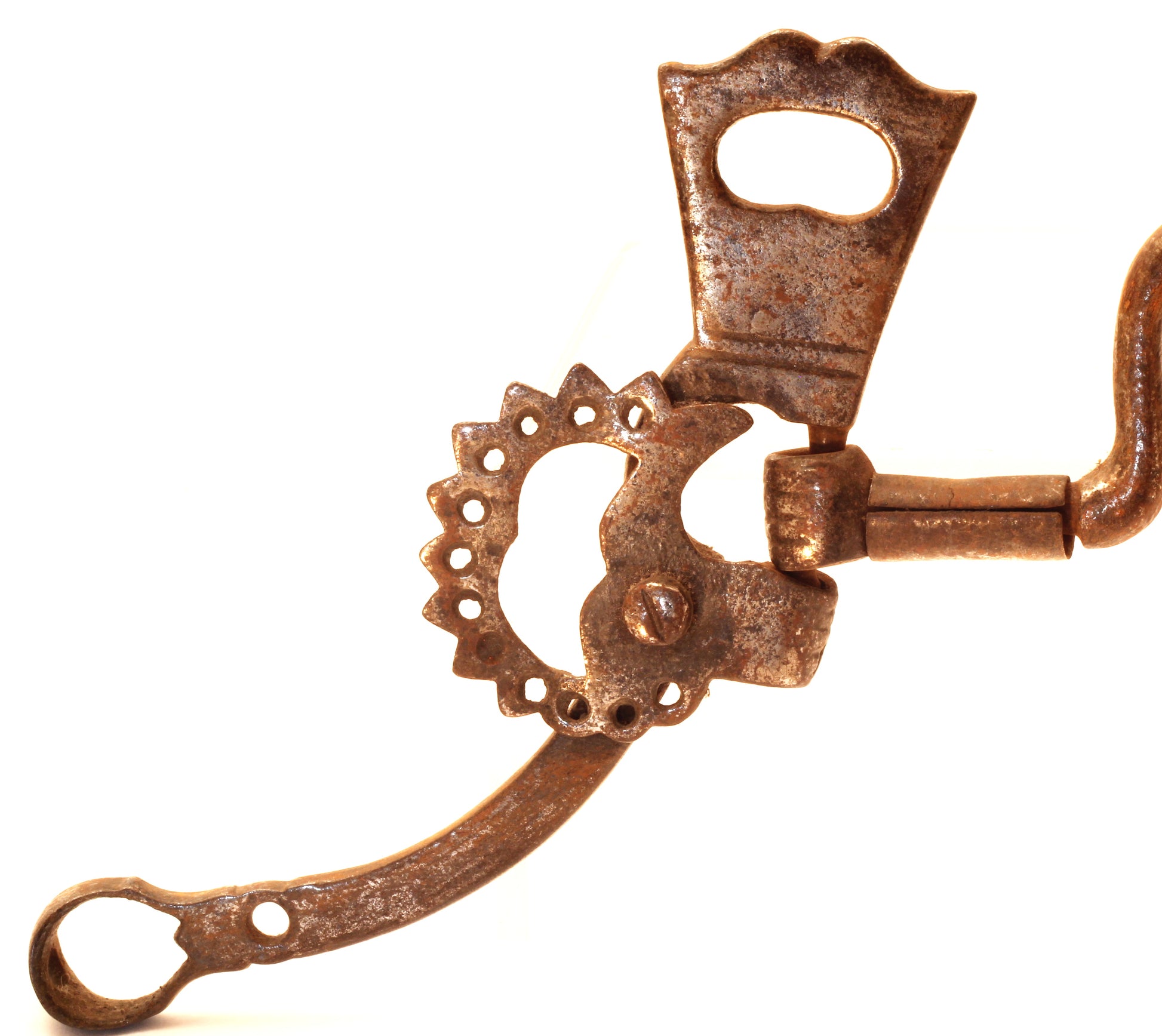 A Brazilian Horse Bit