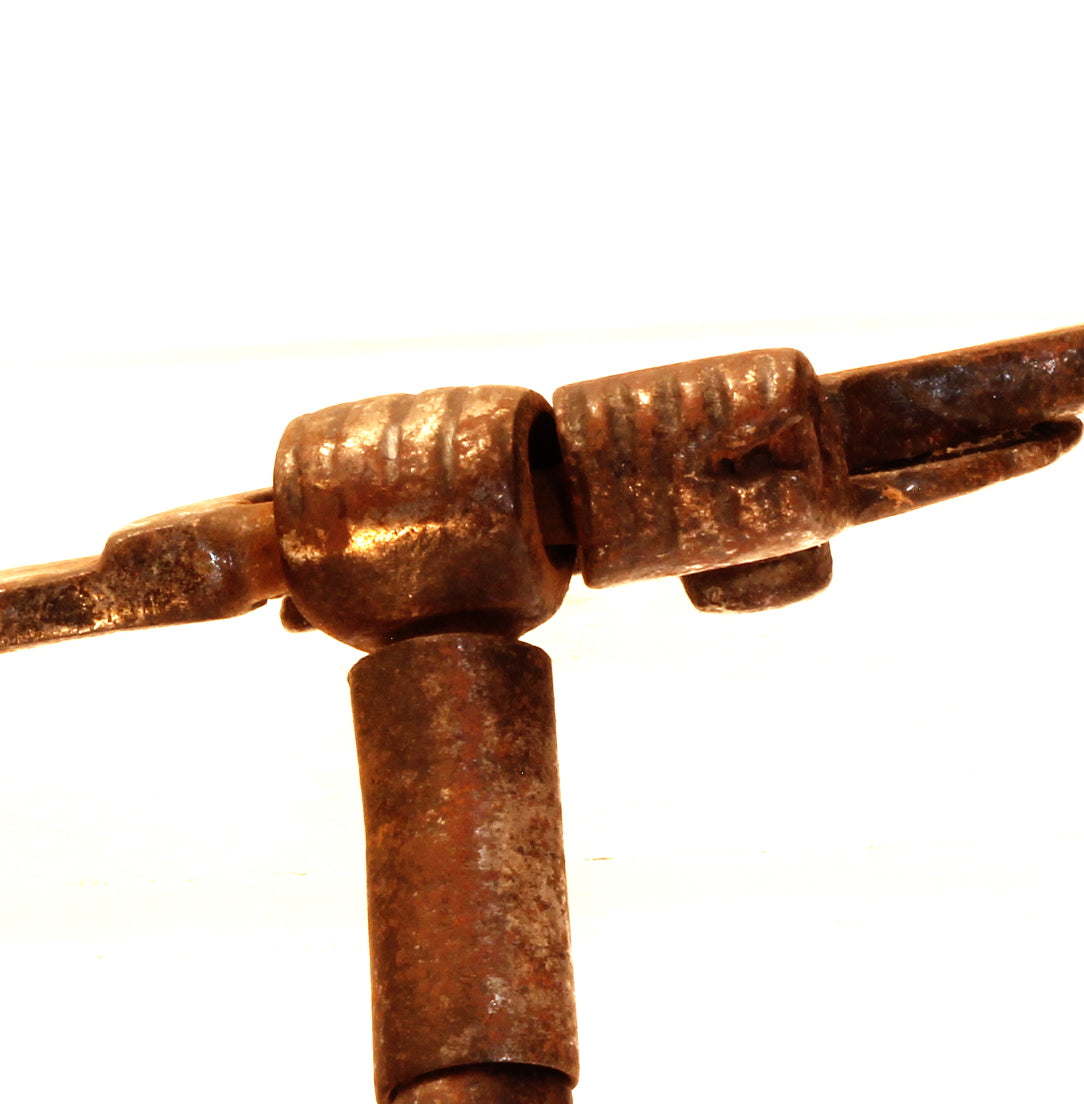 A Brazilian Horse Bit