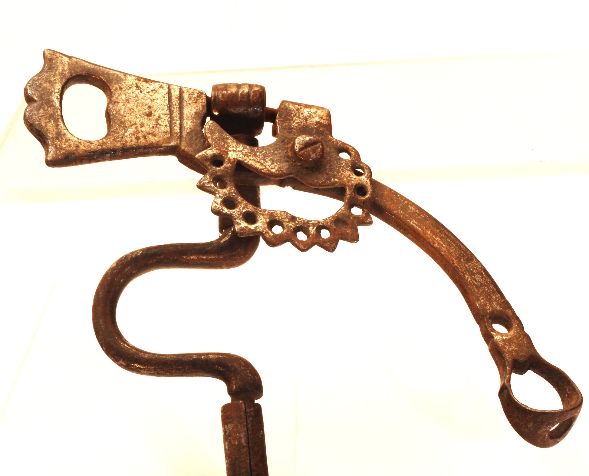 A Brazilian Horse Bit