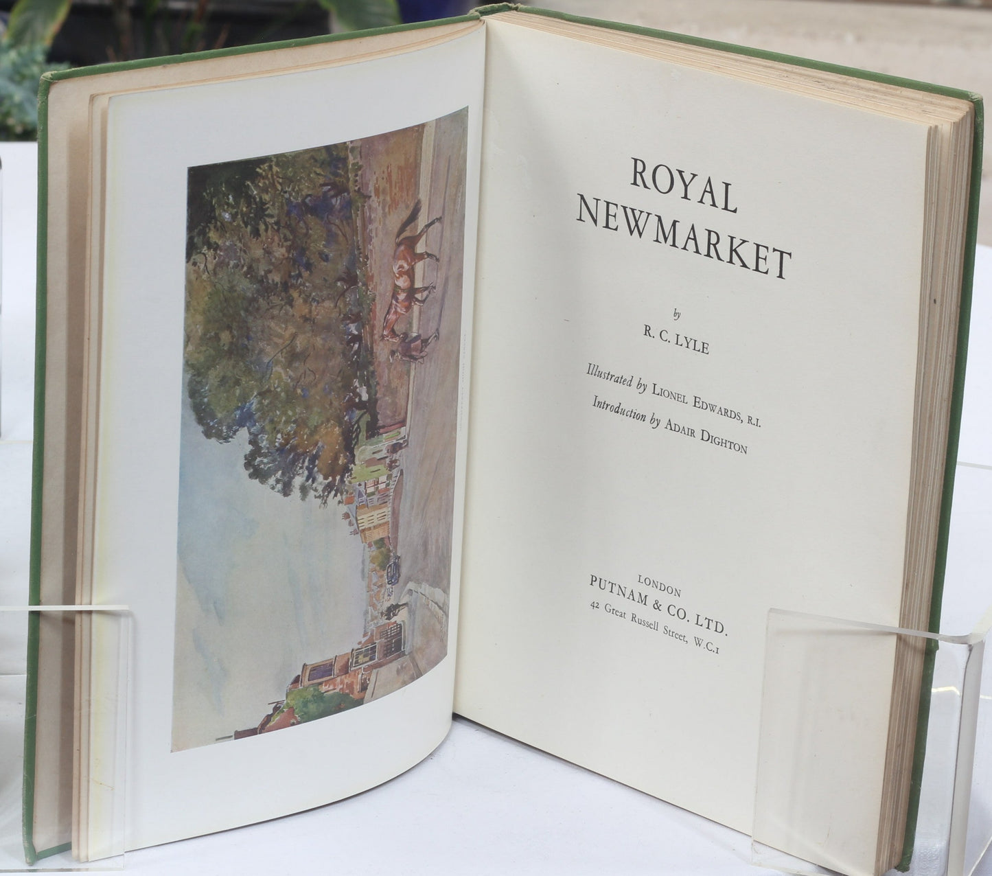 Royal Newmarket by R.C.Lyle, illustrated by Lionel Edwards