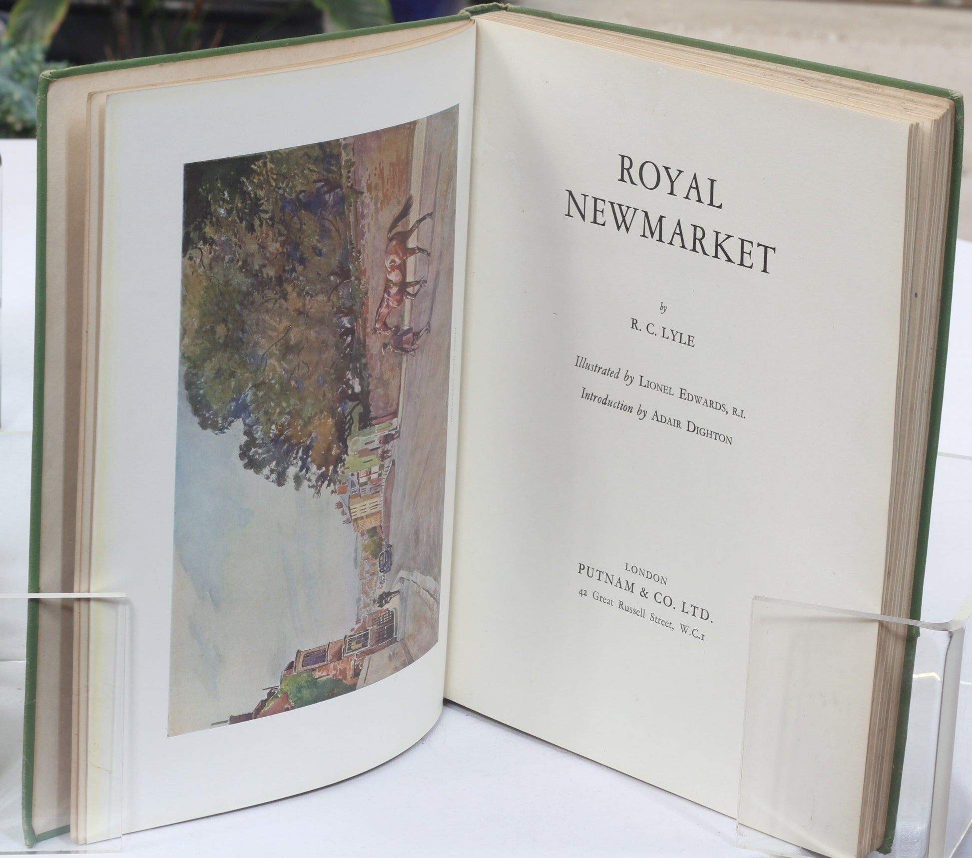 Royal Newmarket by R.C.Lyle, illustrated by Lionel Edwards