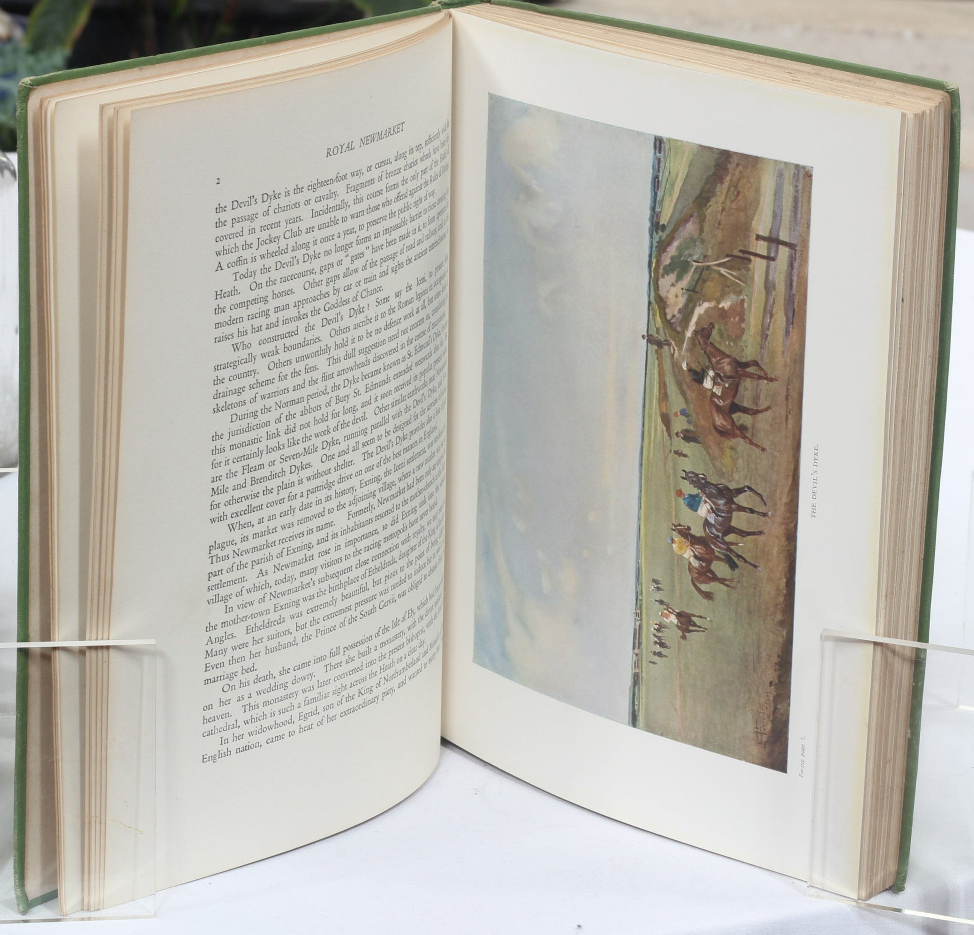 Royal Newmarket by R.C.Lyle, illustrated by Lionel Edwards