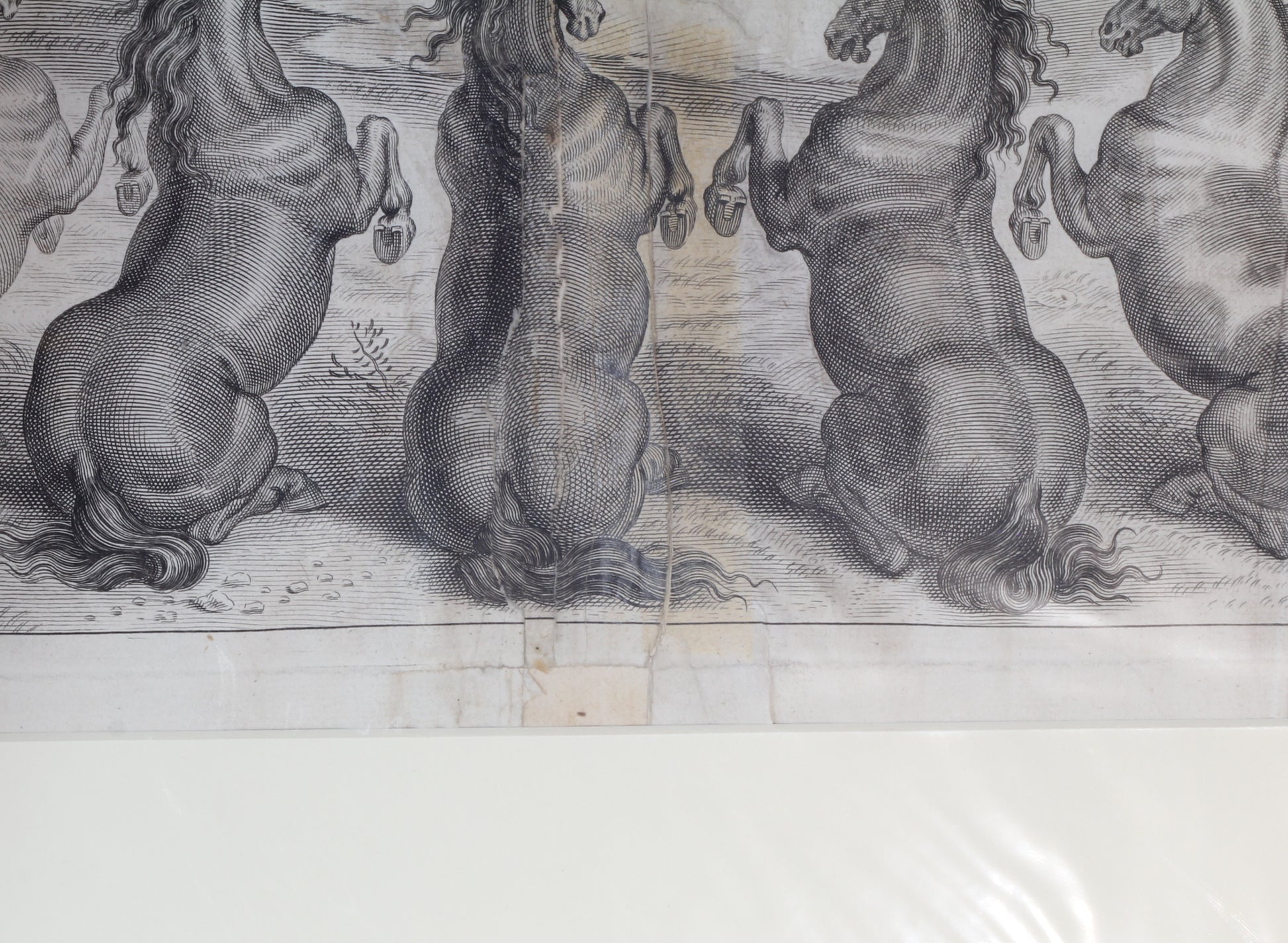 Plate 4 from "La Methode et Invention Nouvelle de Dresser les Chevaux" by William Cavendish, 1657 - The Duke of Cavendish Astonishing the Gods
