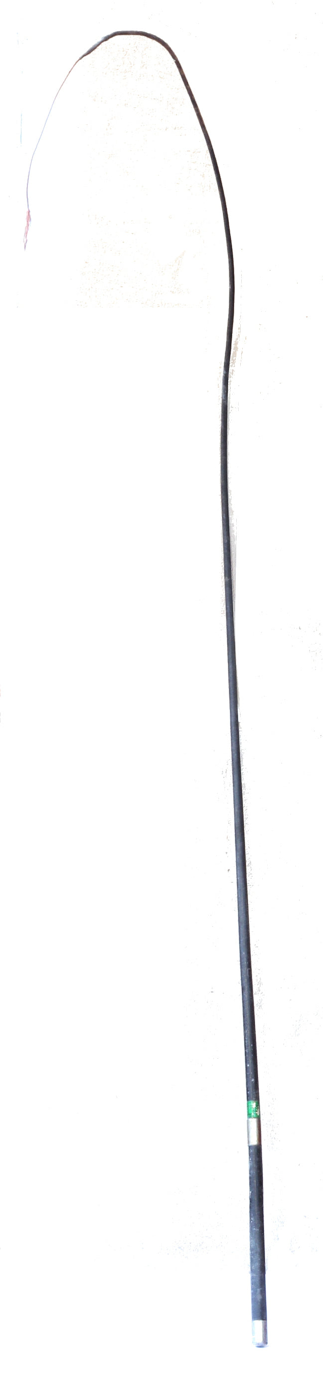 Vintage rawhide buggy whip