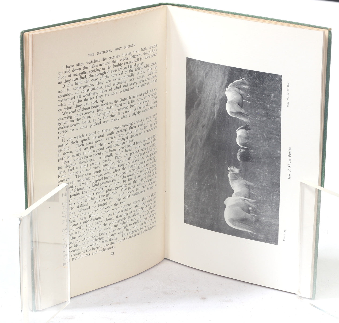 Mountain and Moorland Ponies of Great Britain issued by the National Pony Society