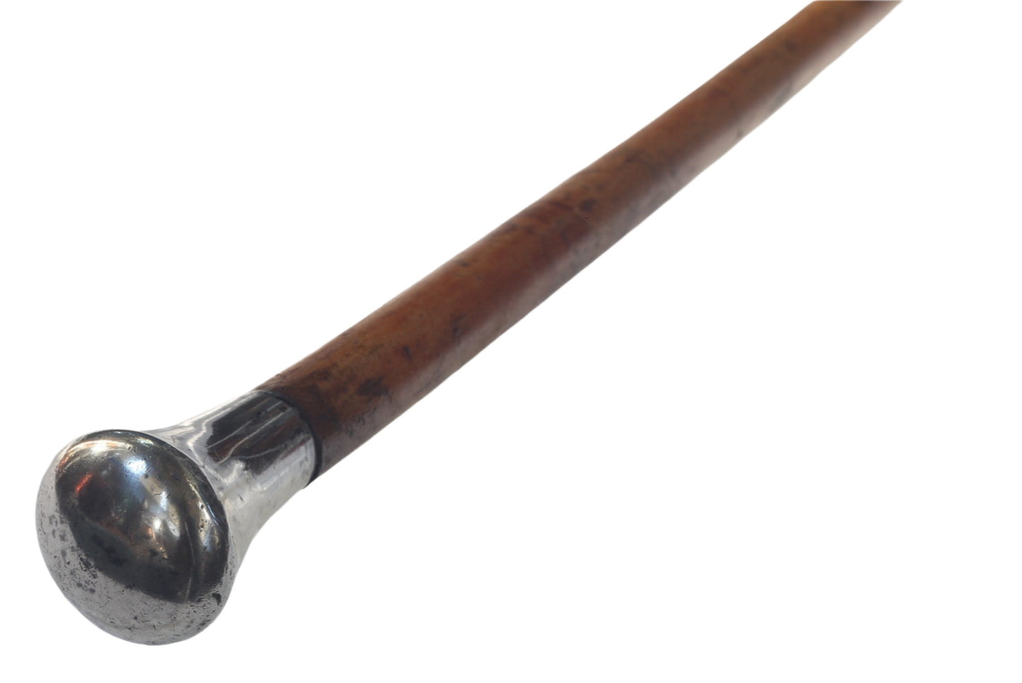 Antique or Vintage Pizzle Whip or Riding Crop