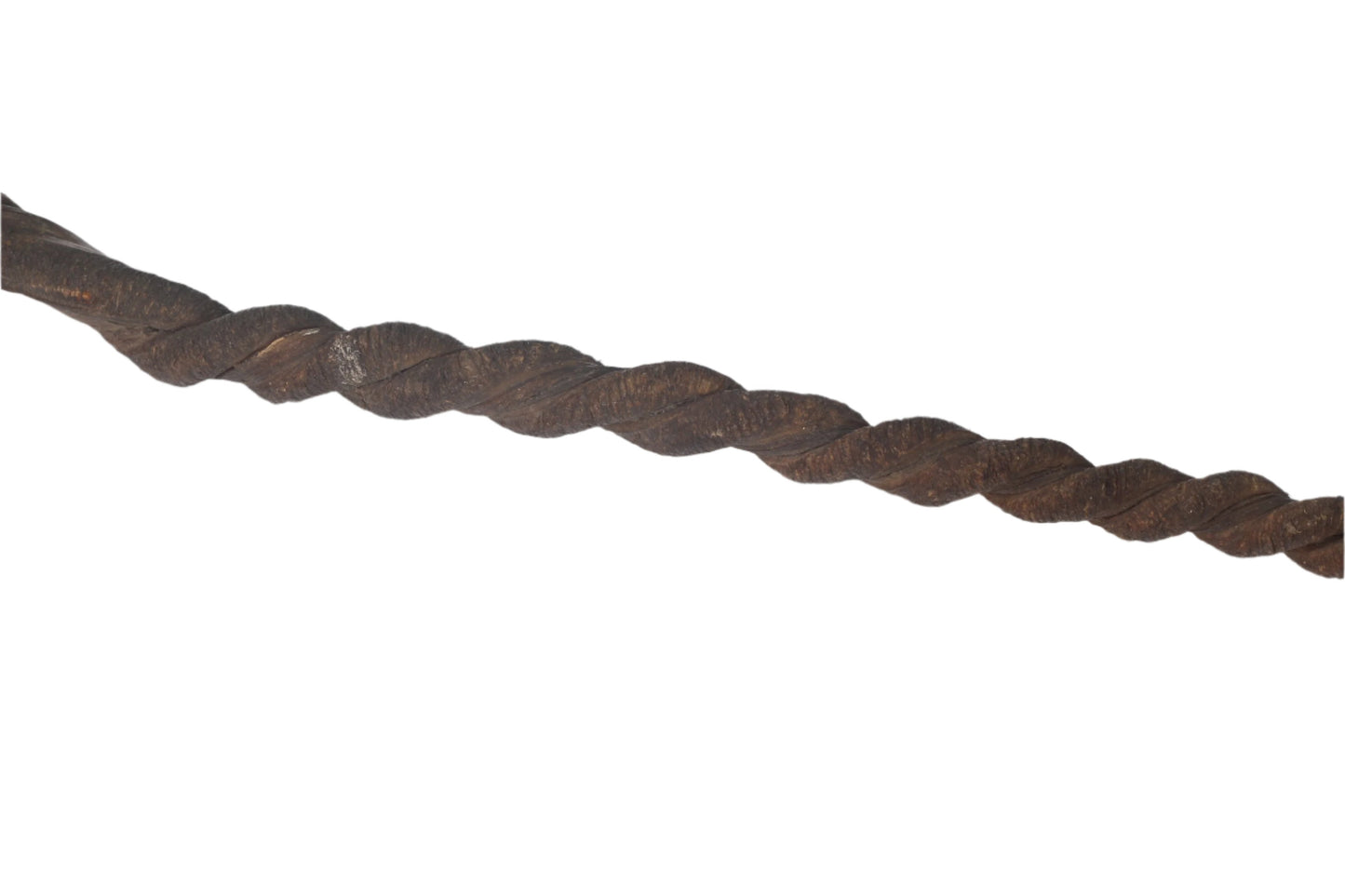 Vintage Twisted Pizzle Whip