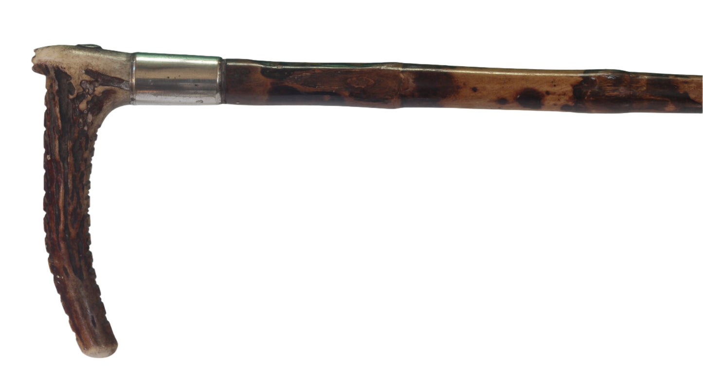 Swaine & Adeney Clouded Cane Hunting Whip for a Lady
