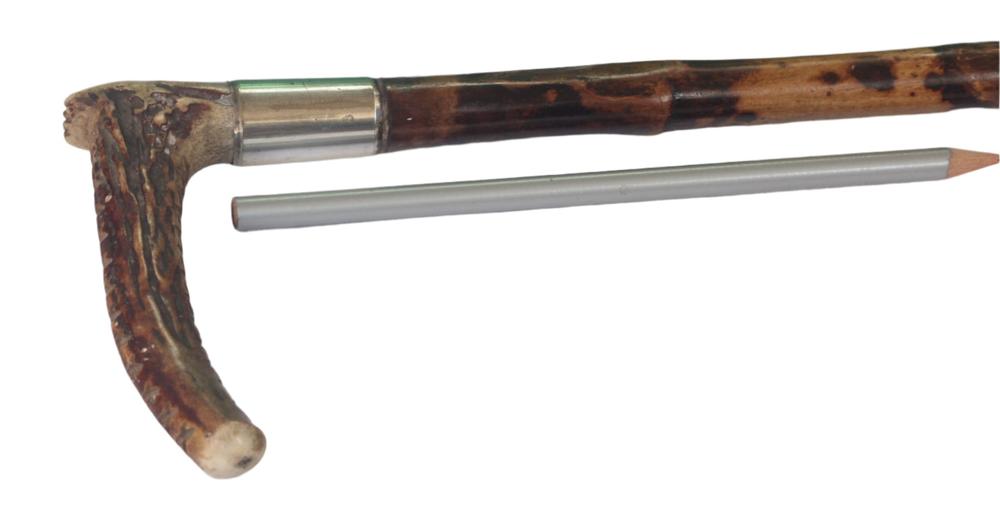 Swaine & Adeney Clouded Cane Hunting Whip for a Lady