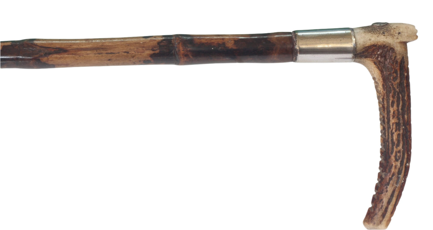 Swaine & Adeney Clouded Cane Hunting Whip for a Lady