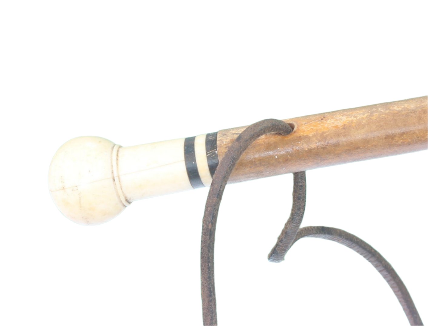 Antique or Vintage Pizzle Whip