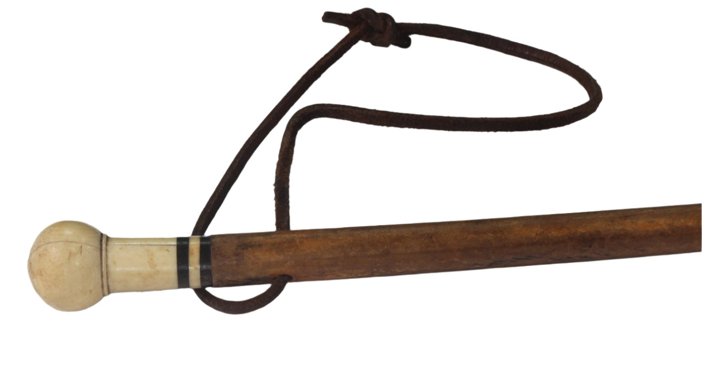 Antique or Vintage Pizzle Whip