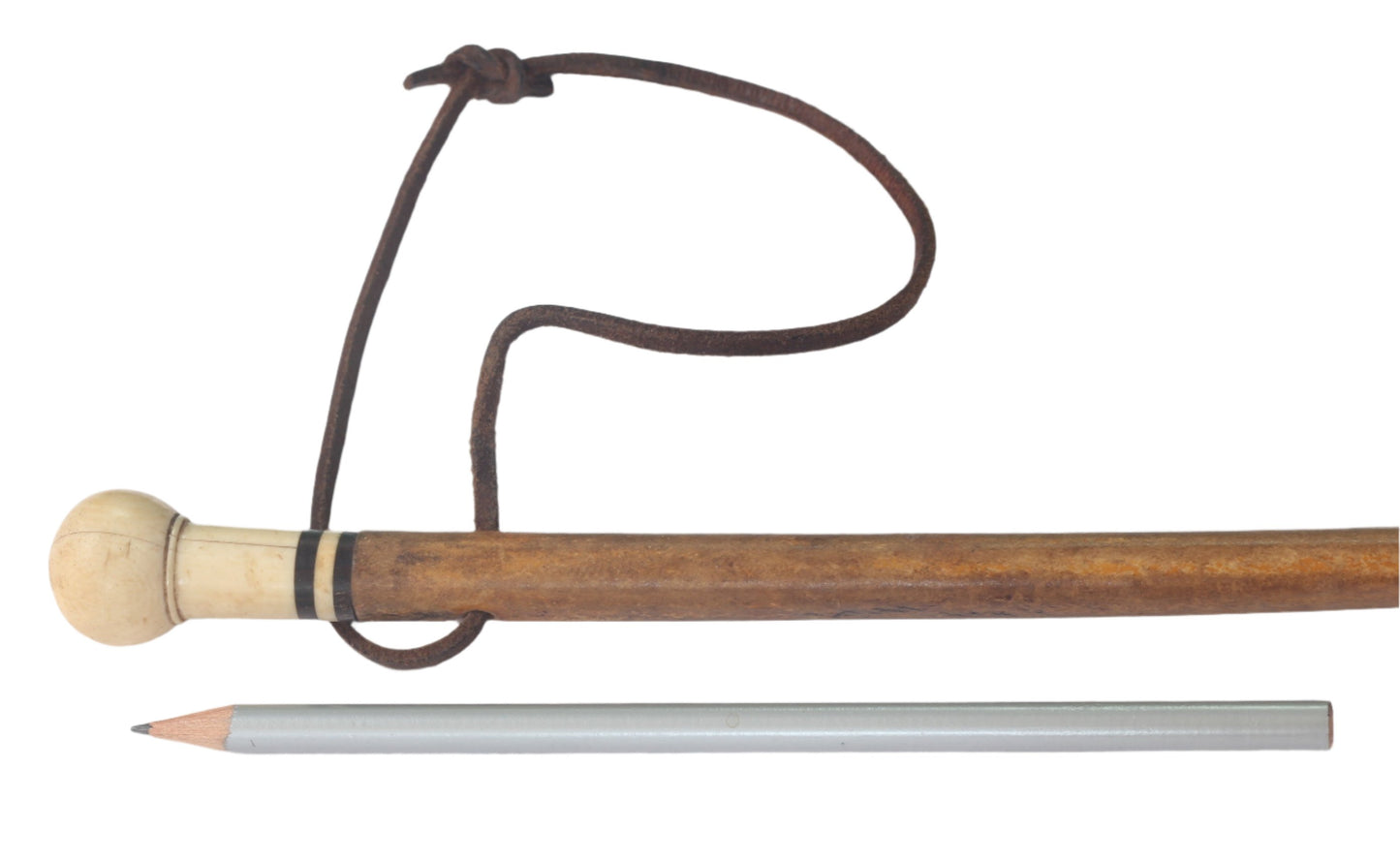 Antique or Vintage Pizzle Whip