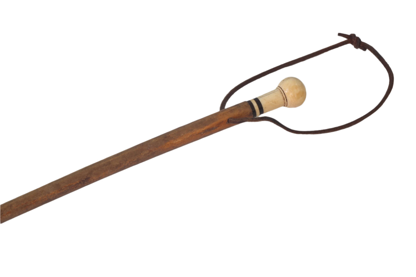 Antique or Vintage Pizzle Whip