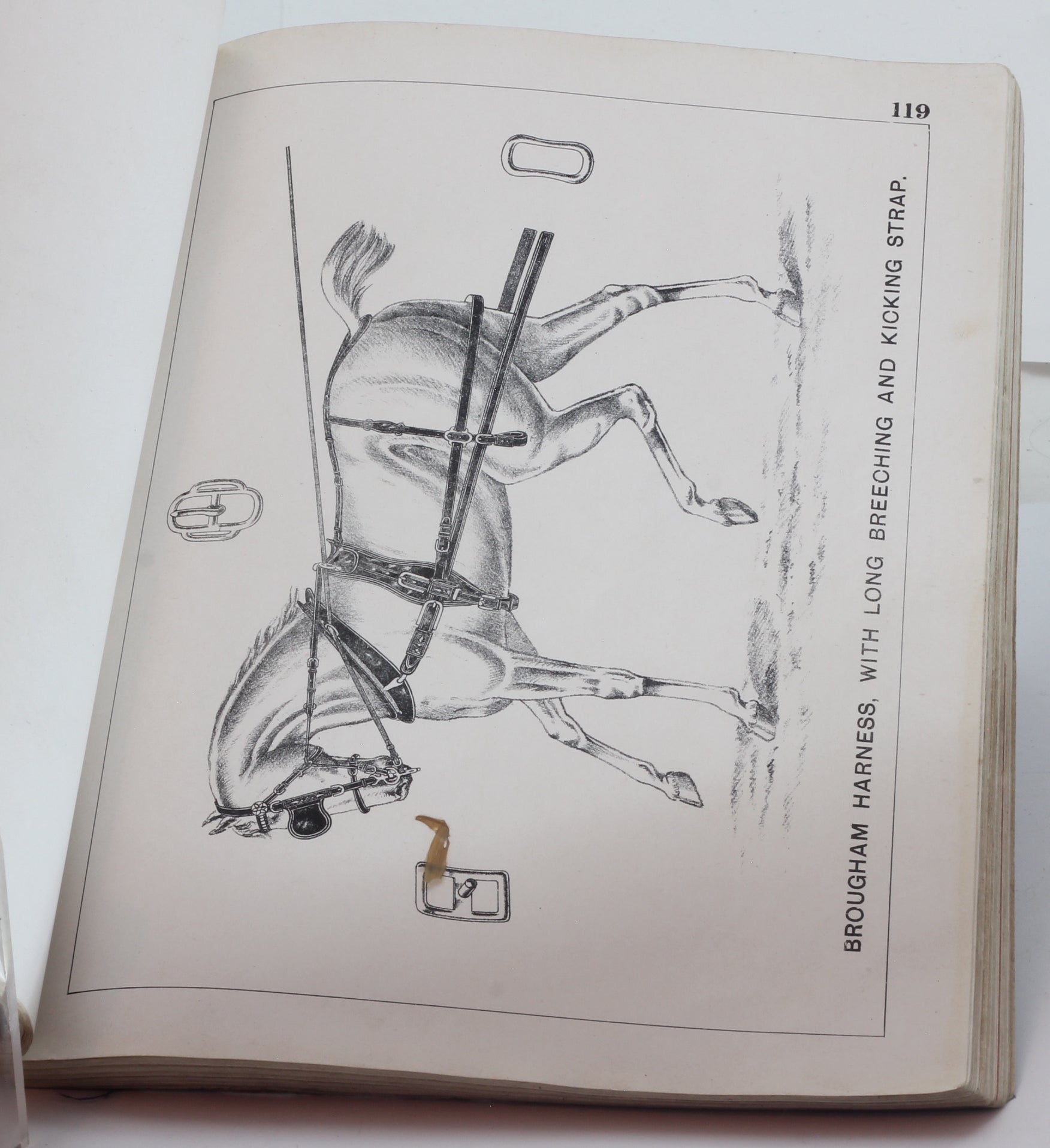 1901 W.Overton of Walsall Harness & Saddlery Catalogue