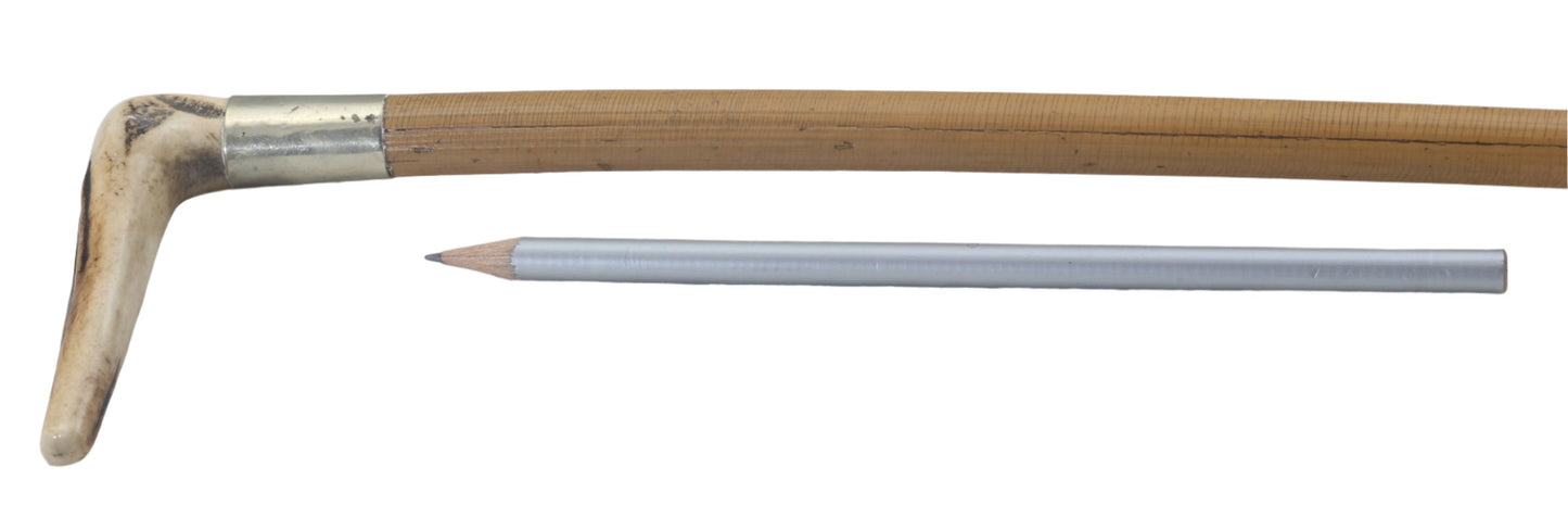Vintage Small Cane Ladies or Child's Hunting Whip or Crop