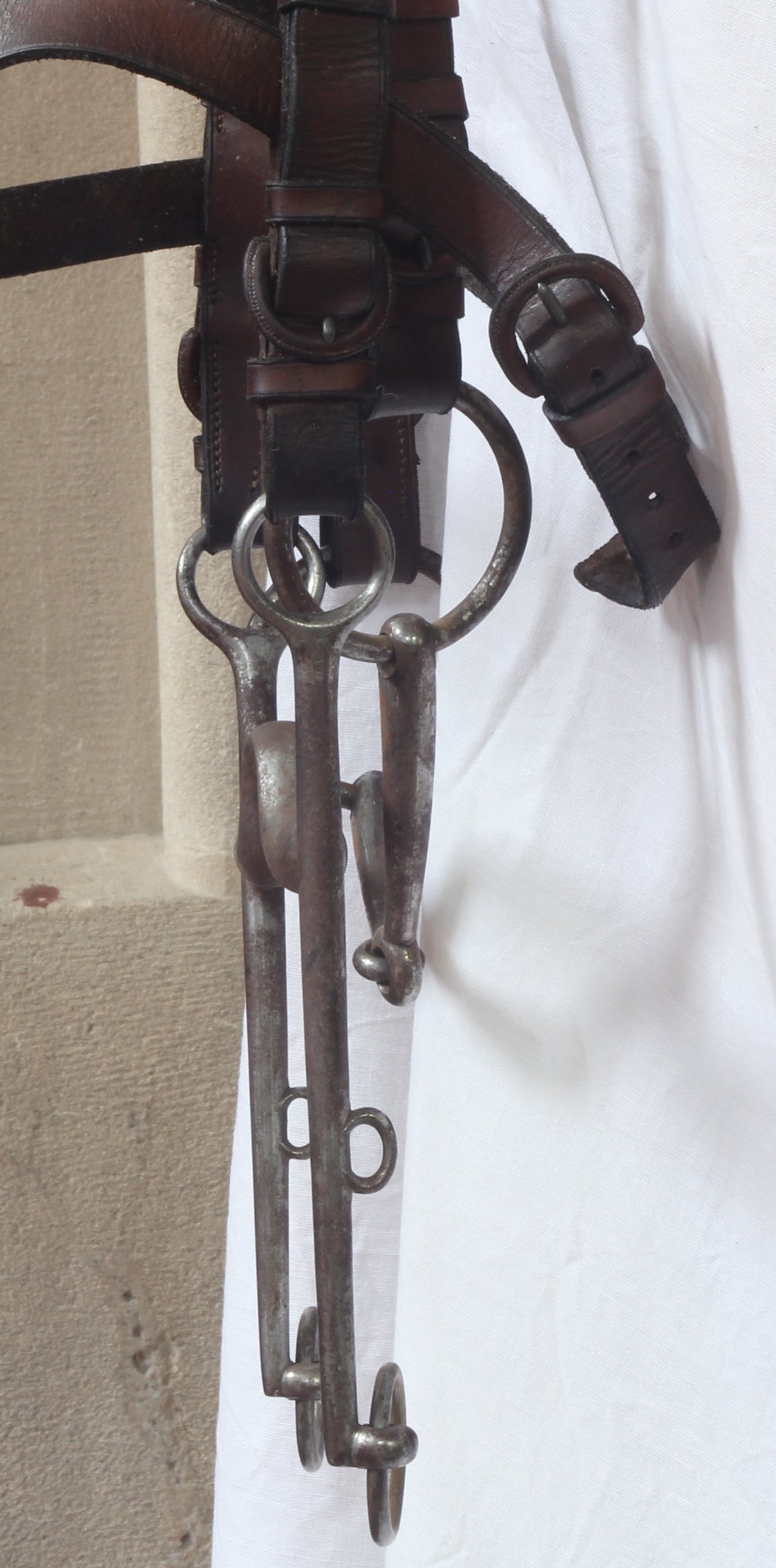 A 19th Century Double Bridle