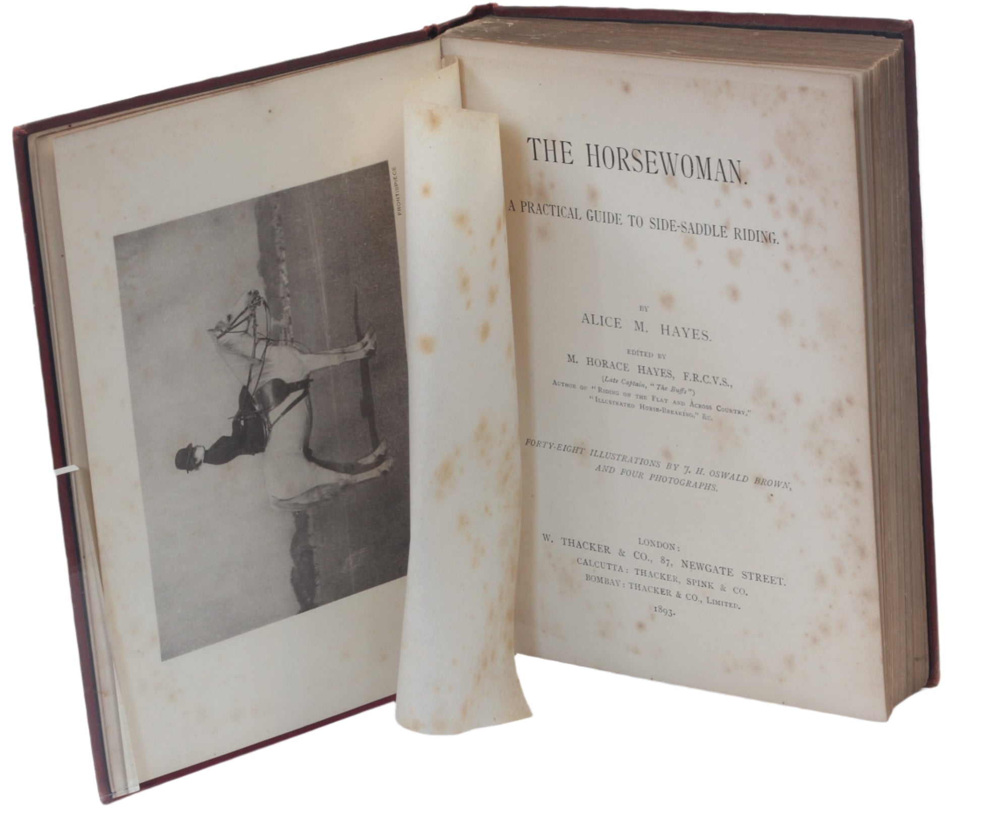 The Horsewoman : A Practical Guide to Side-Saddle Riding by Mrs Hayes , 1st Ed. 1893