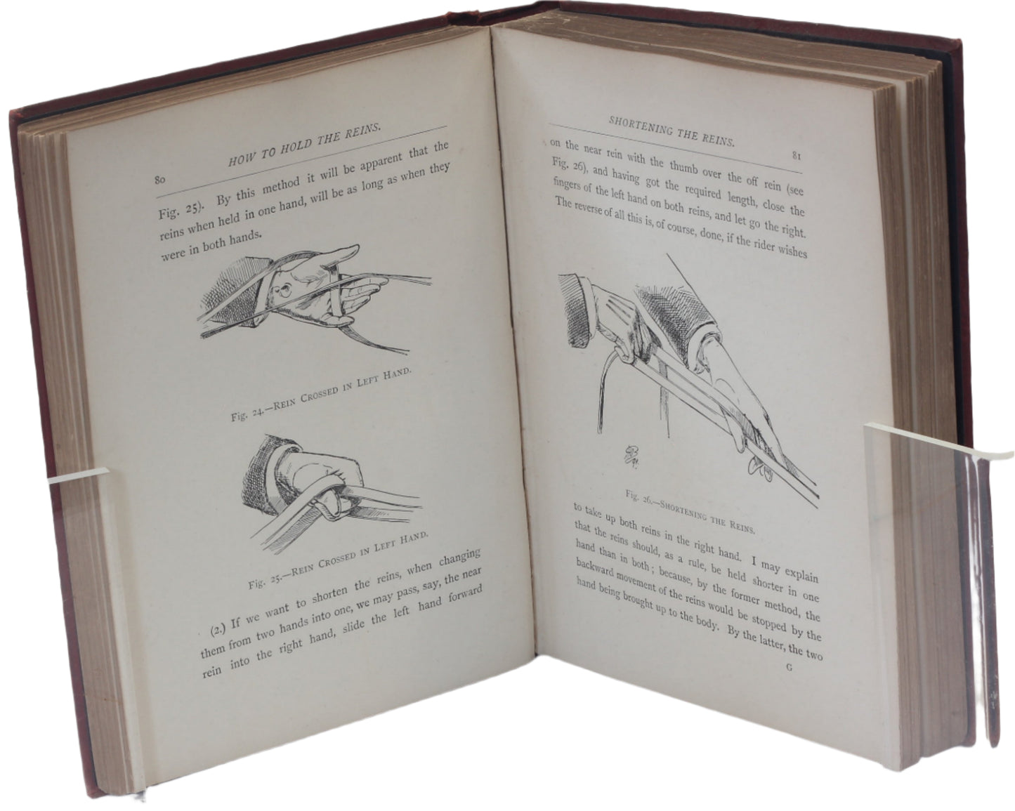 The Horsewoman : A Practical Guide to Side-Saddle Riding by Mrs Hayes , 1st Ed. 1893
