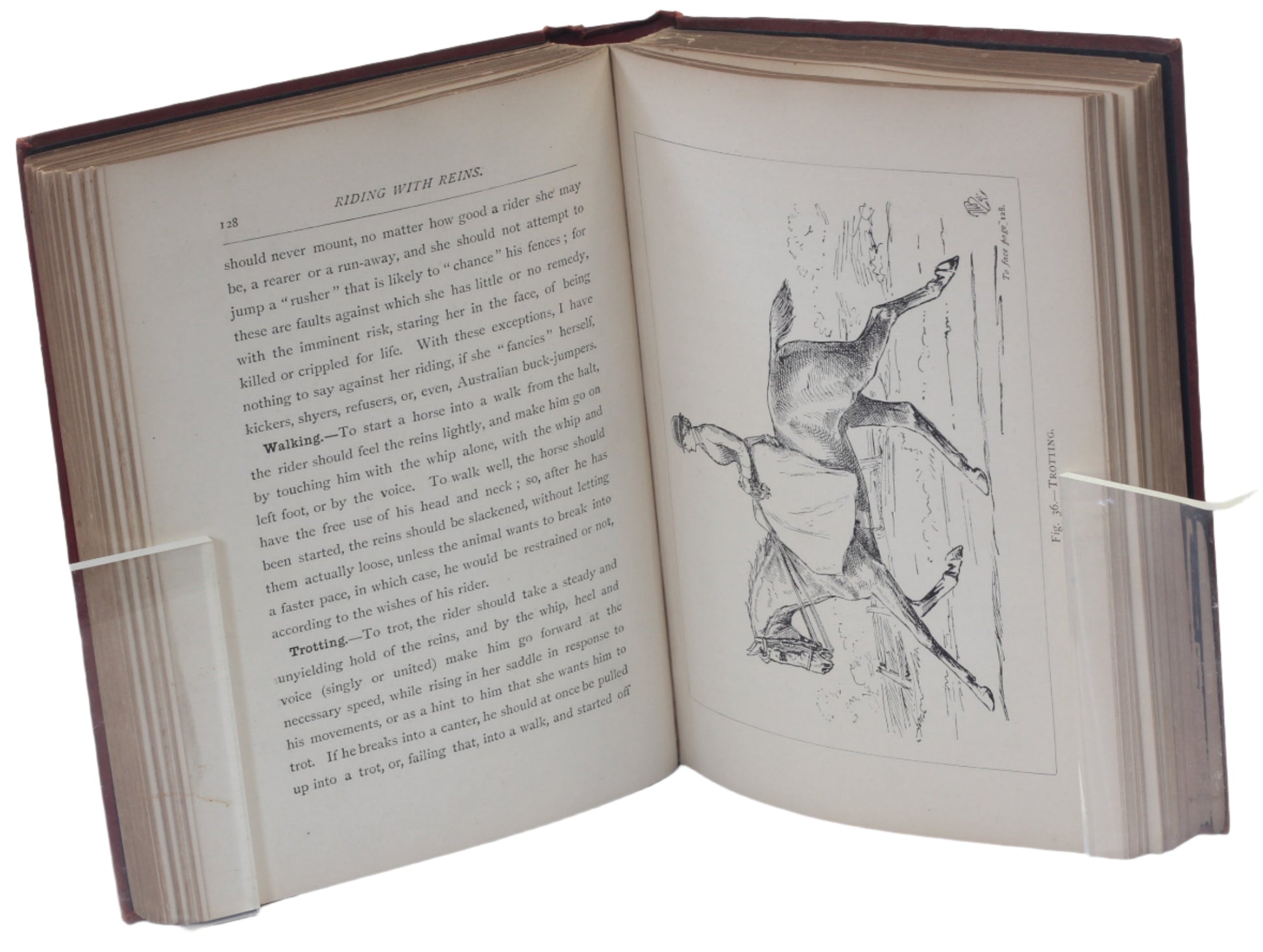 The Horsewoman : A Practical Guide to Side-Saddle Riding by Mrs Hayes , 1st Ed. 1893