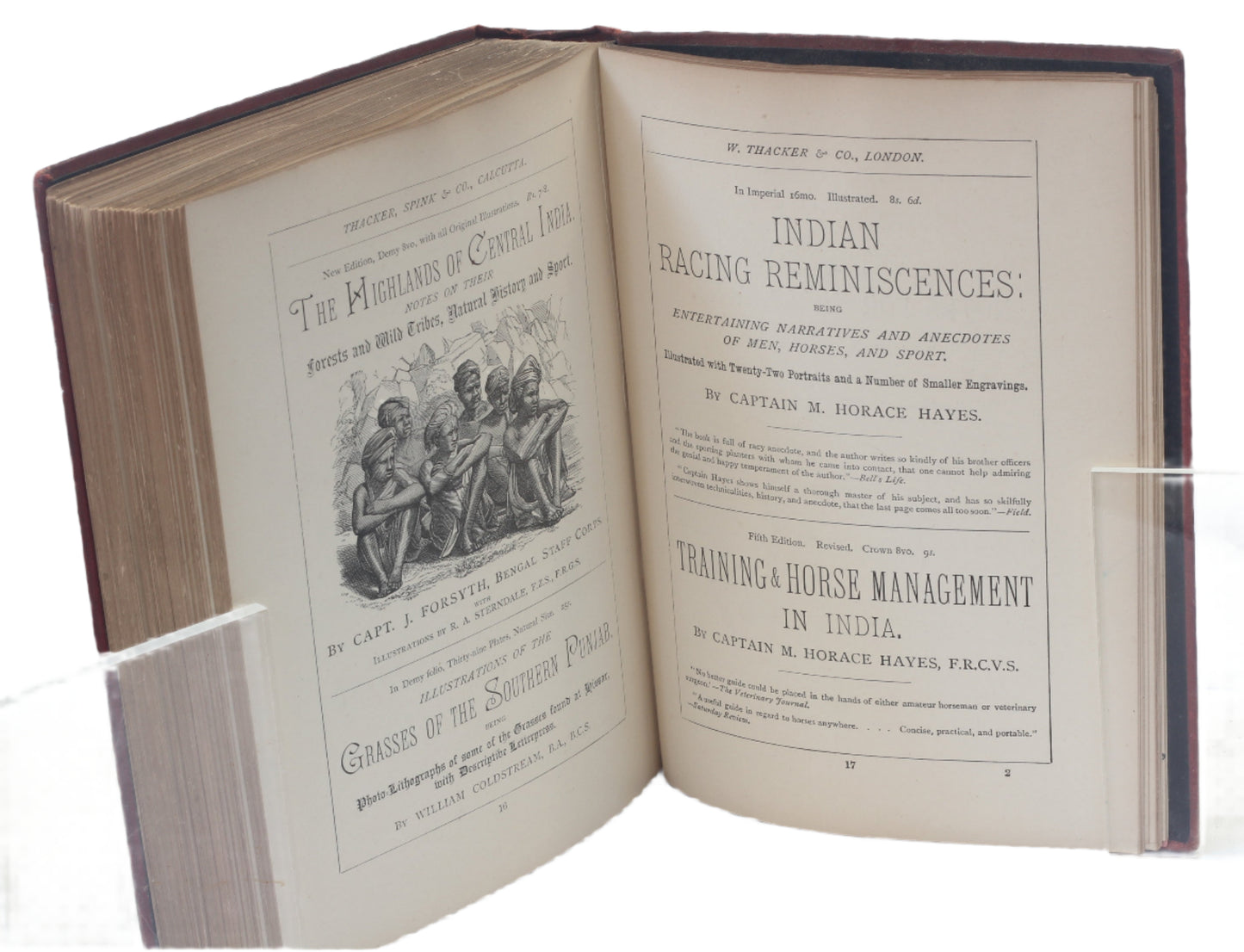 The Horsewoman : A Practical Guide to Side-Saddle Riding by Mrs Hayes , 1st Ed. 1893