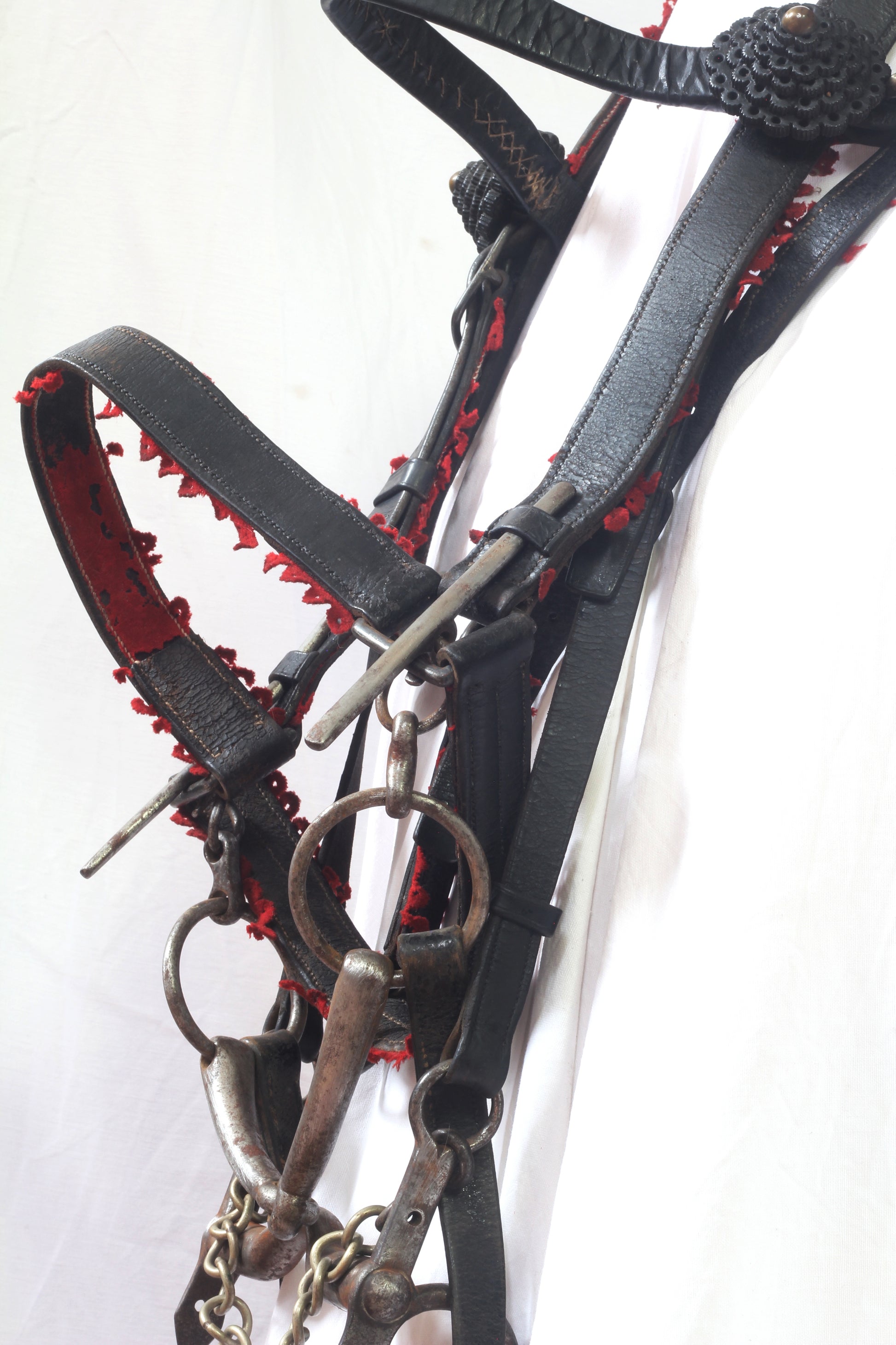 A Victorian King's Royal Rifle Corps Bridle