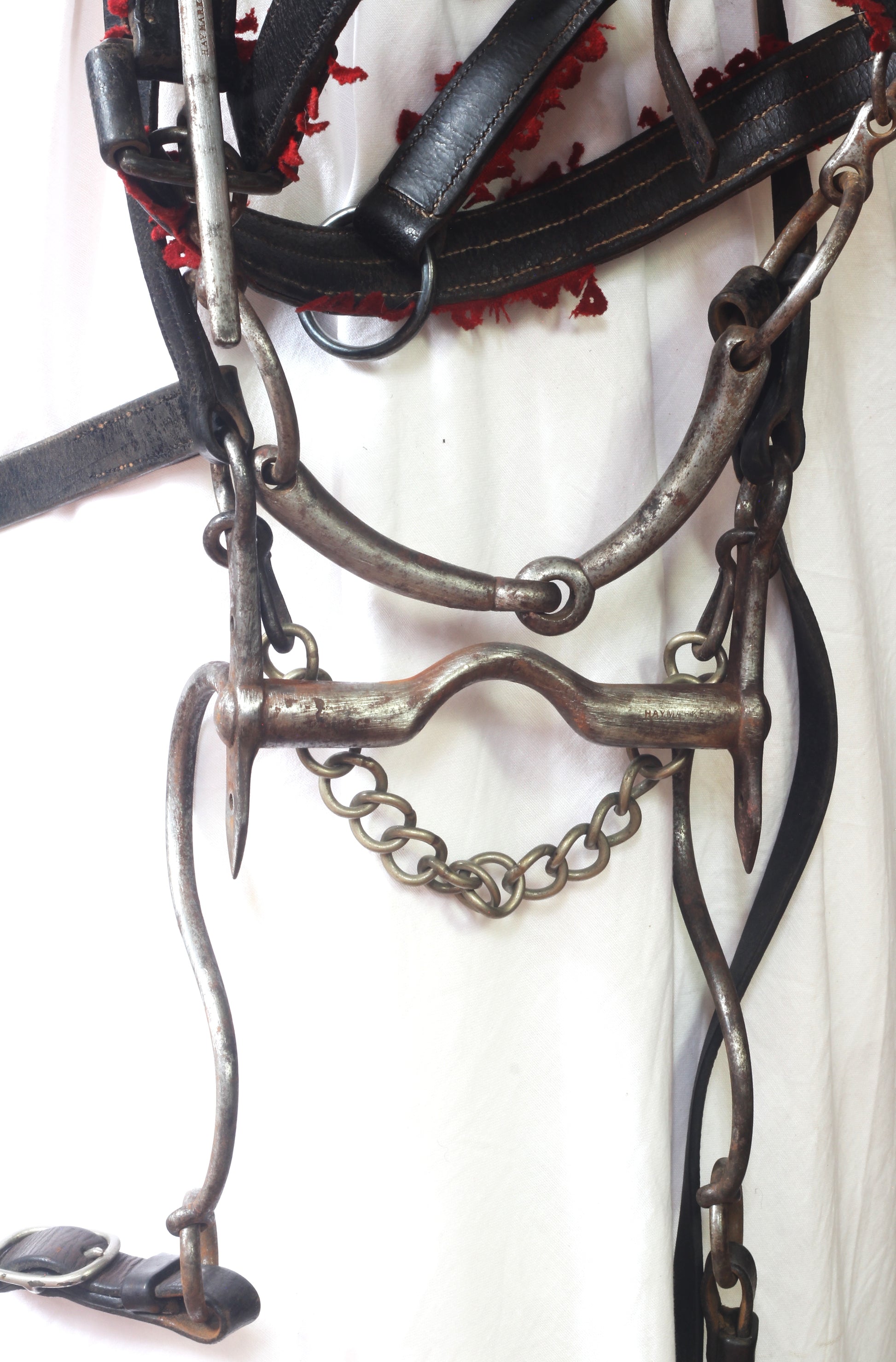 A Victorian King's Royal Rifle Corps Bridle