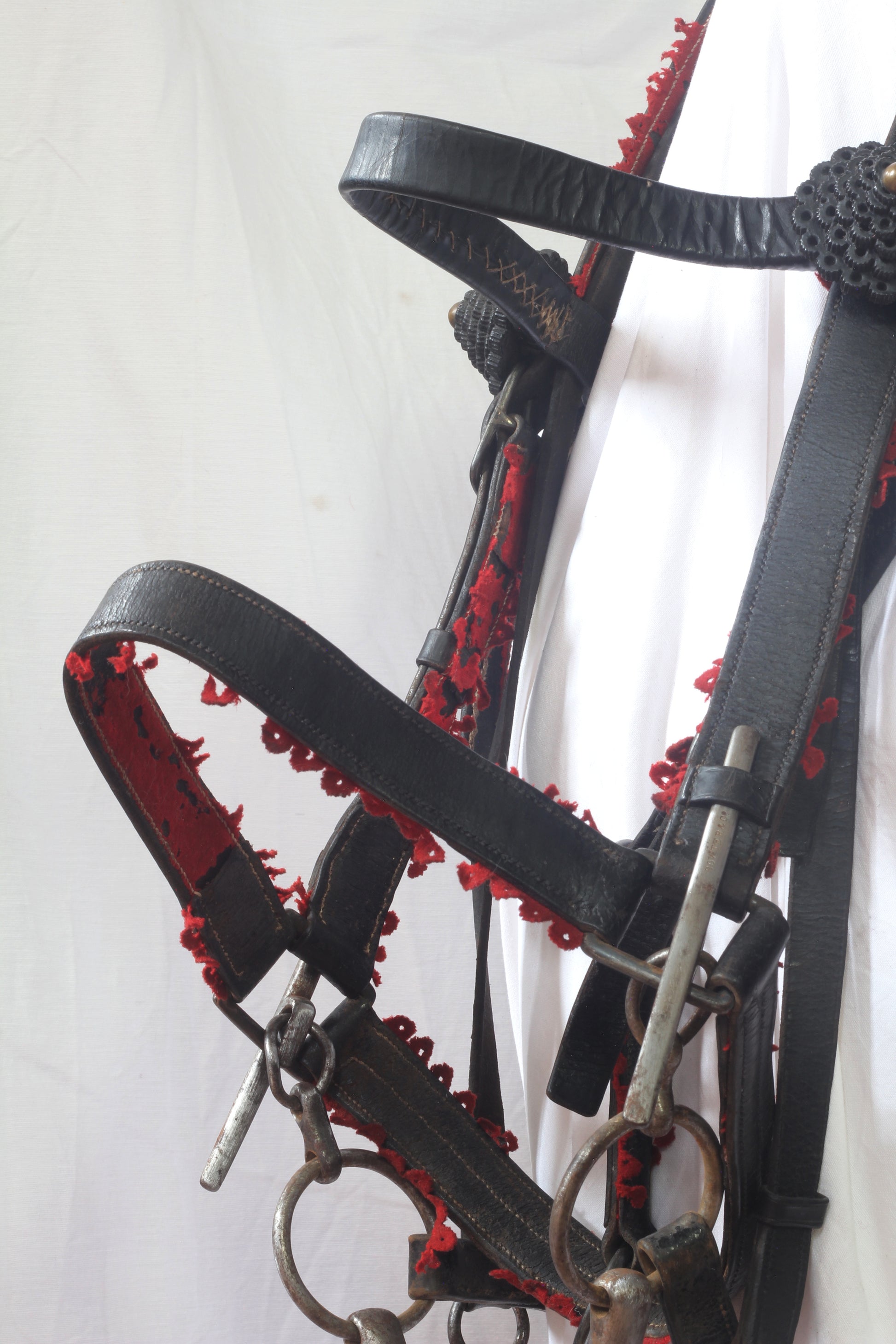 A Victorian King's Royal Rifle Corps Bridle