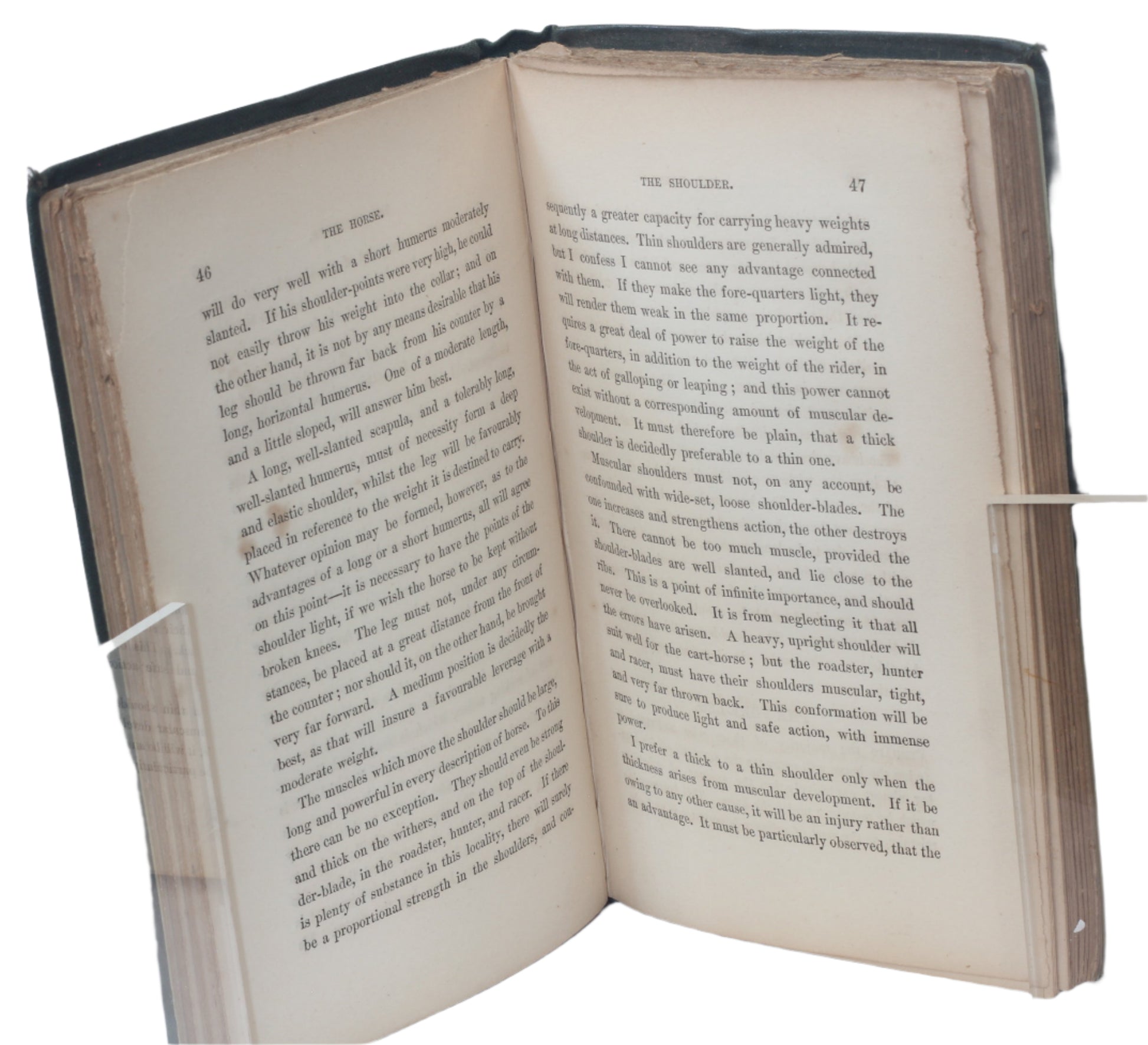 The Form of the Horse, as it lies Open To The Inspection of the Ordinary Observer by James C.L. Carson, M.D., 2nd Ed 1862