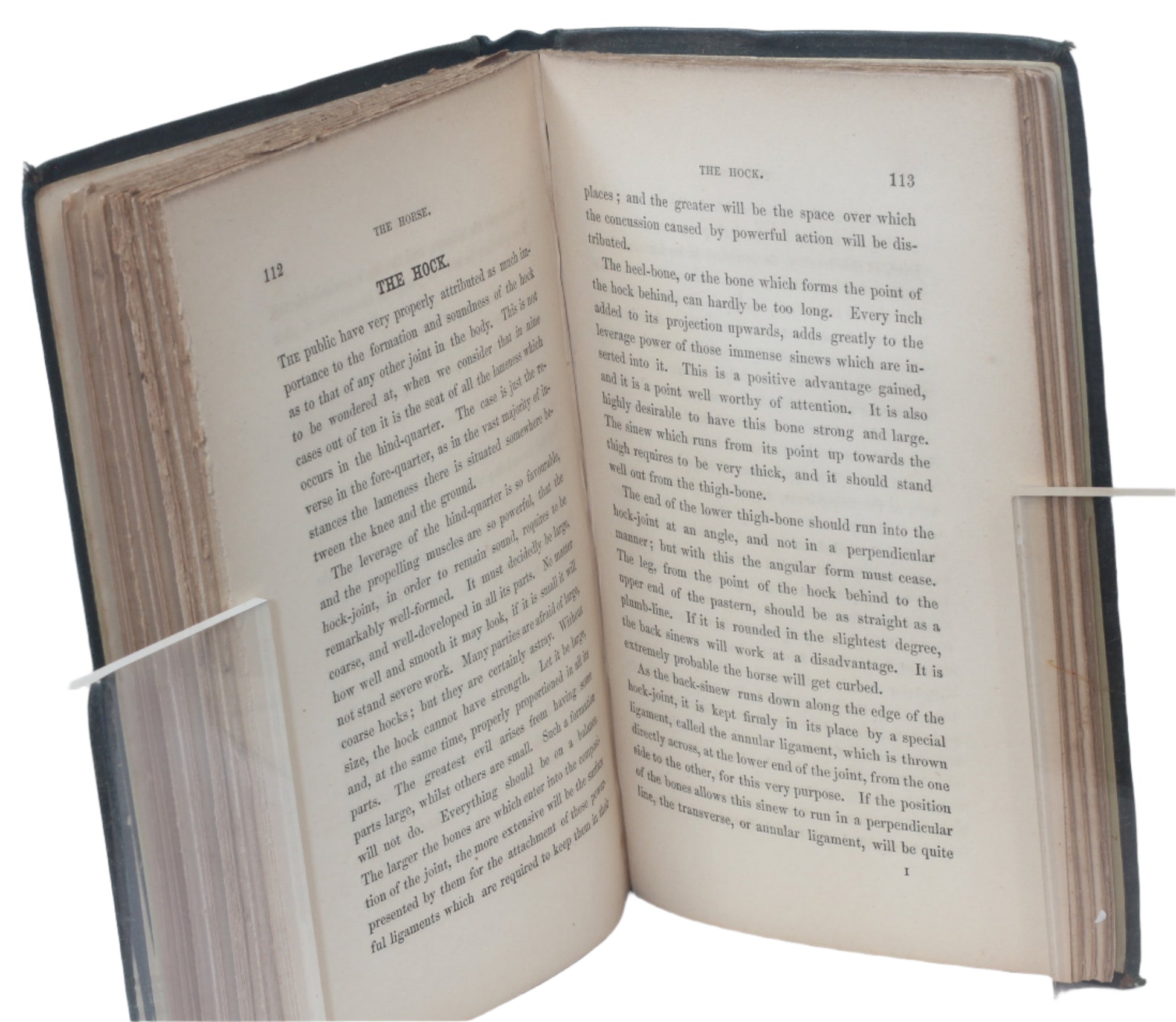 The Form of the Horse, as it lies Open To The Inspection of the Ordinary Observer by James C.L. Carson, M.D., 2nd Ed 1862
