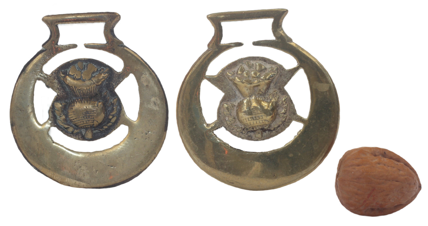 Pair of Antique Thistle Horse Brasses