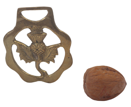 Vintage Horse Brass with a Thistle