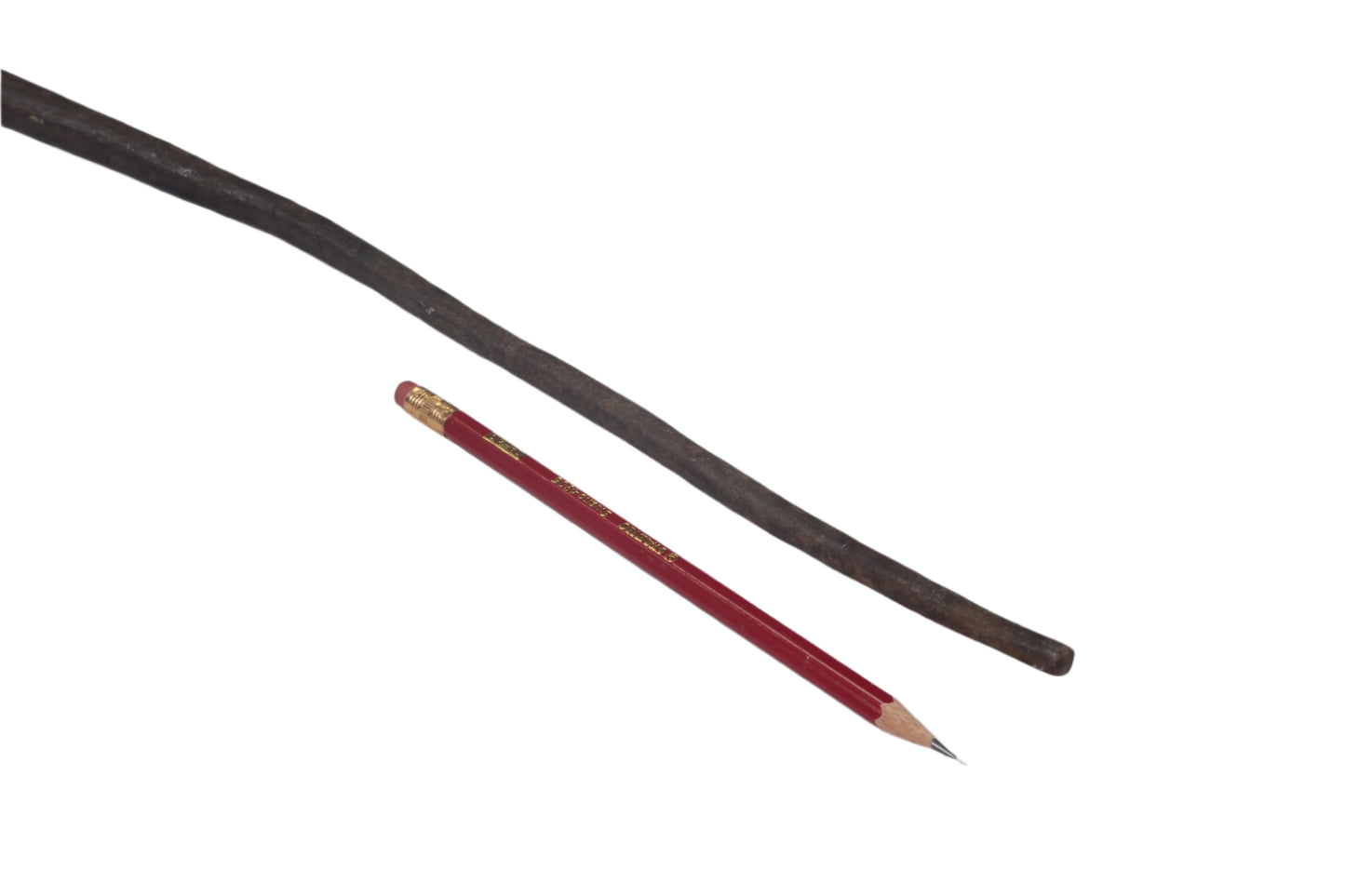 African Tribal Hide Whip or Sjambok or Litupa