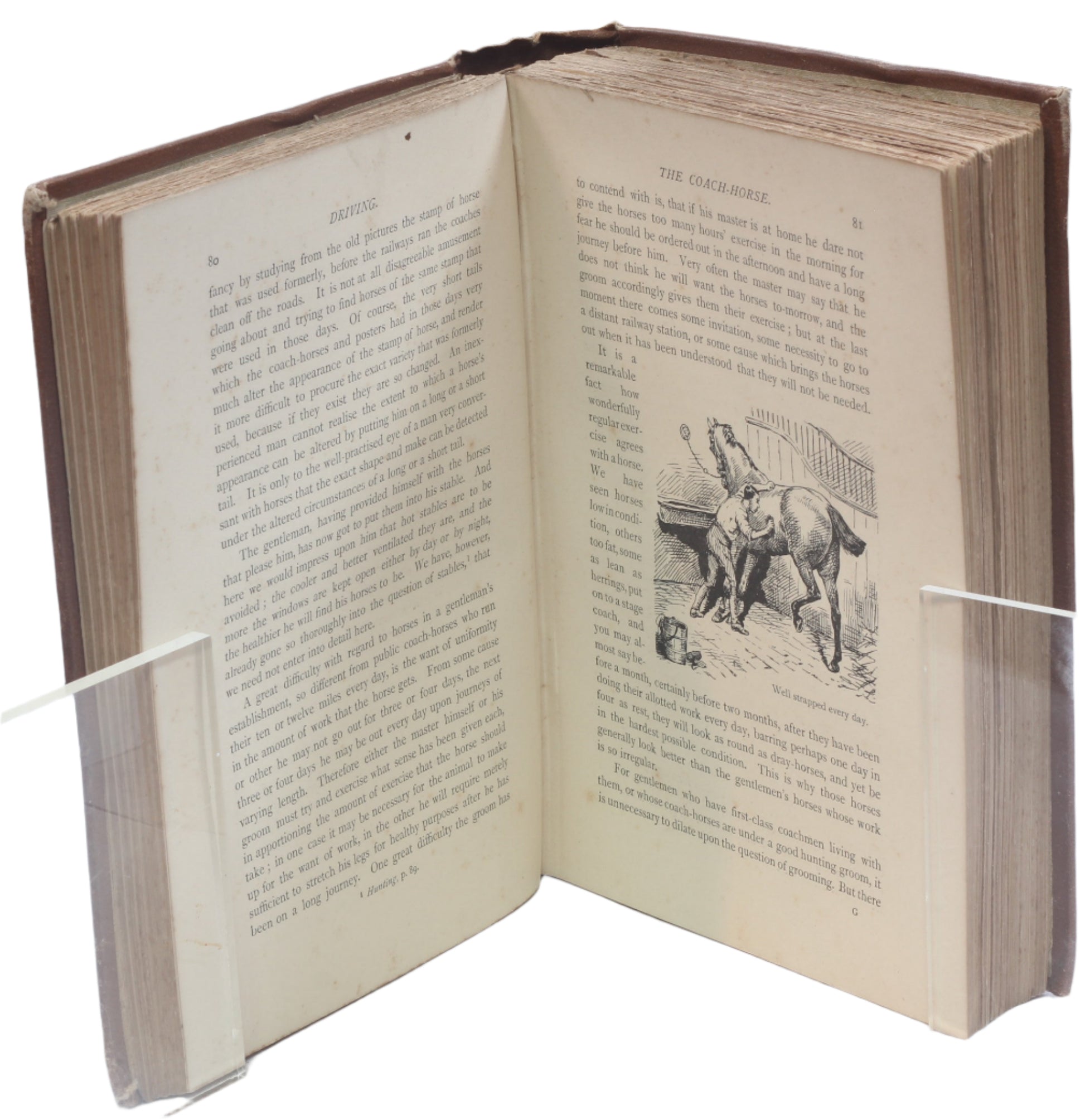 The Badminton Library: Driving by the Duke of Beaufort, 1st Ed 1889