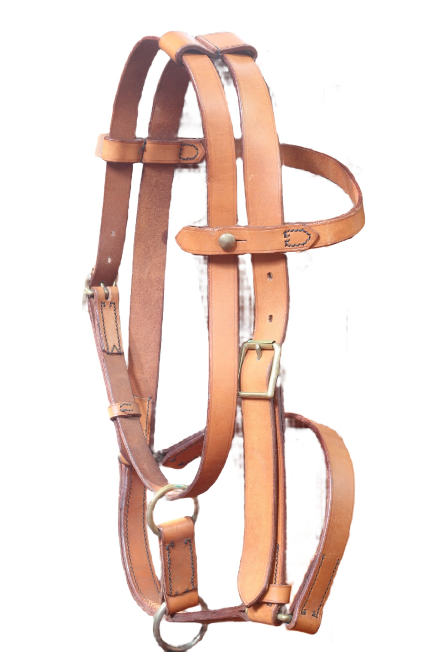 A 1995 Household Cavalry Mk 4 Headcollar