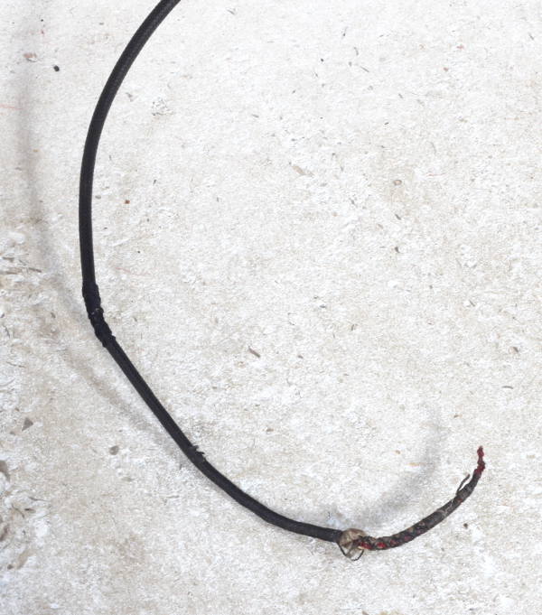 Antique Sidesaddle Whip with Gilt Dragon Handle