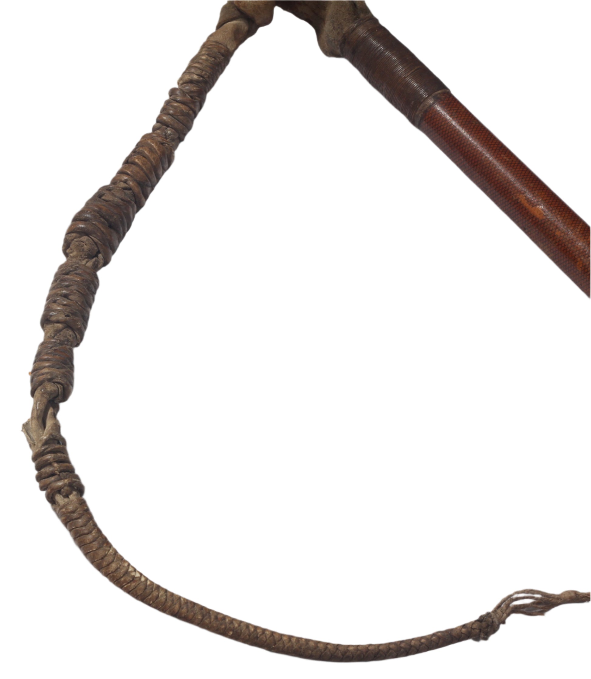 Antique Beagling Whip with Hound Handle