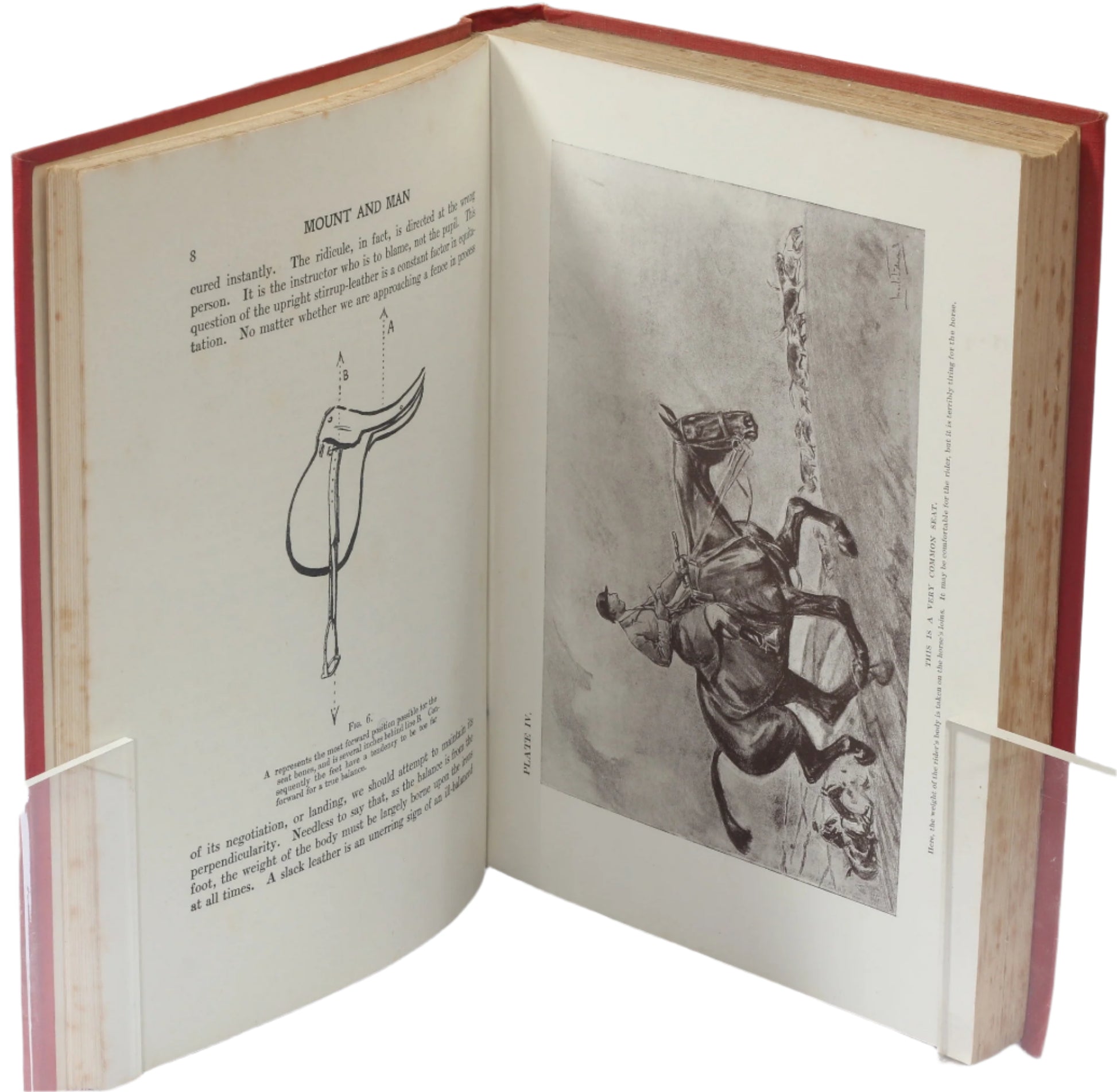Mount & Man by Lt-Col M.F.McTaggart, Illus Lionel Edwards, 1925 1st Ed.