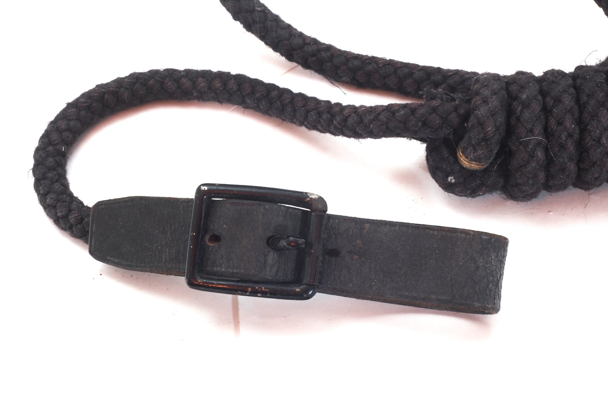 A Black Neck Rope for a Military Horse