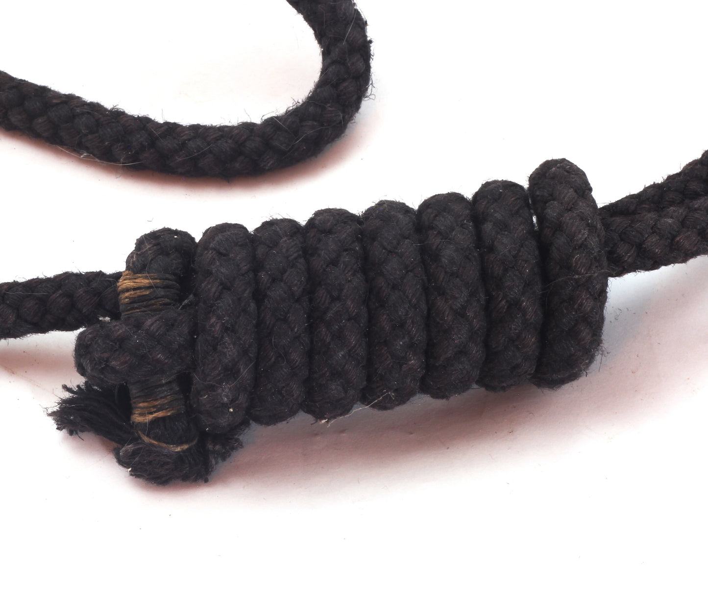 A Black Neck Rope for a Military Horse