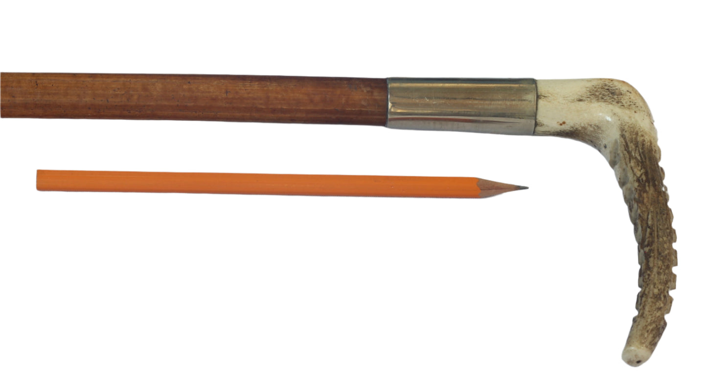 Vintage Ladies / Youth's Malacca Hunting Whip with Thong