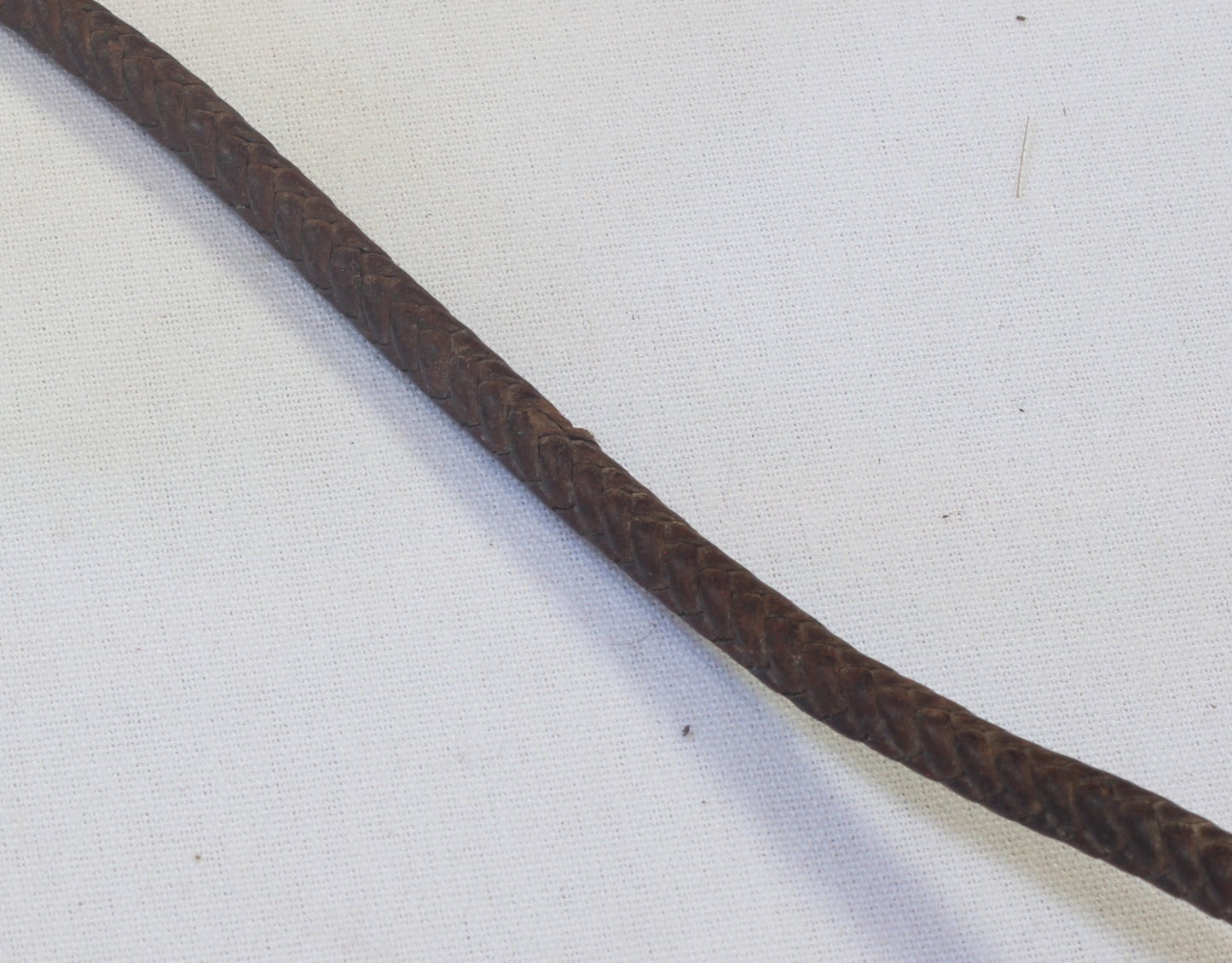 whip thong